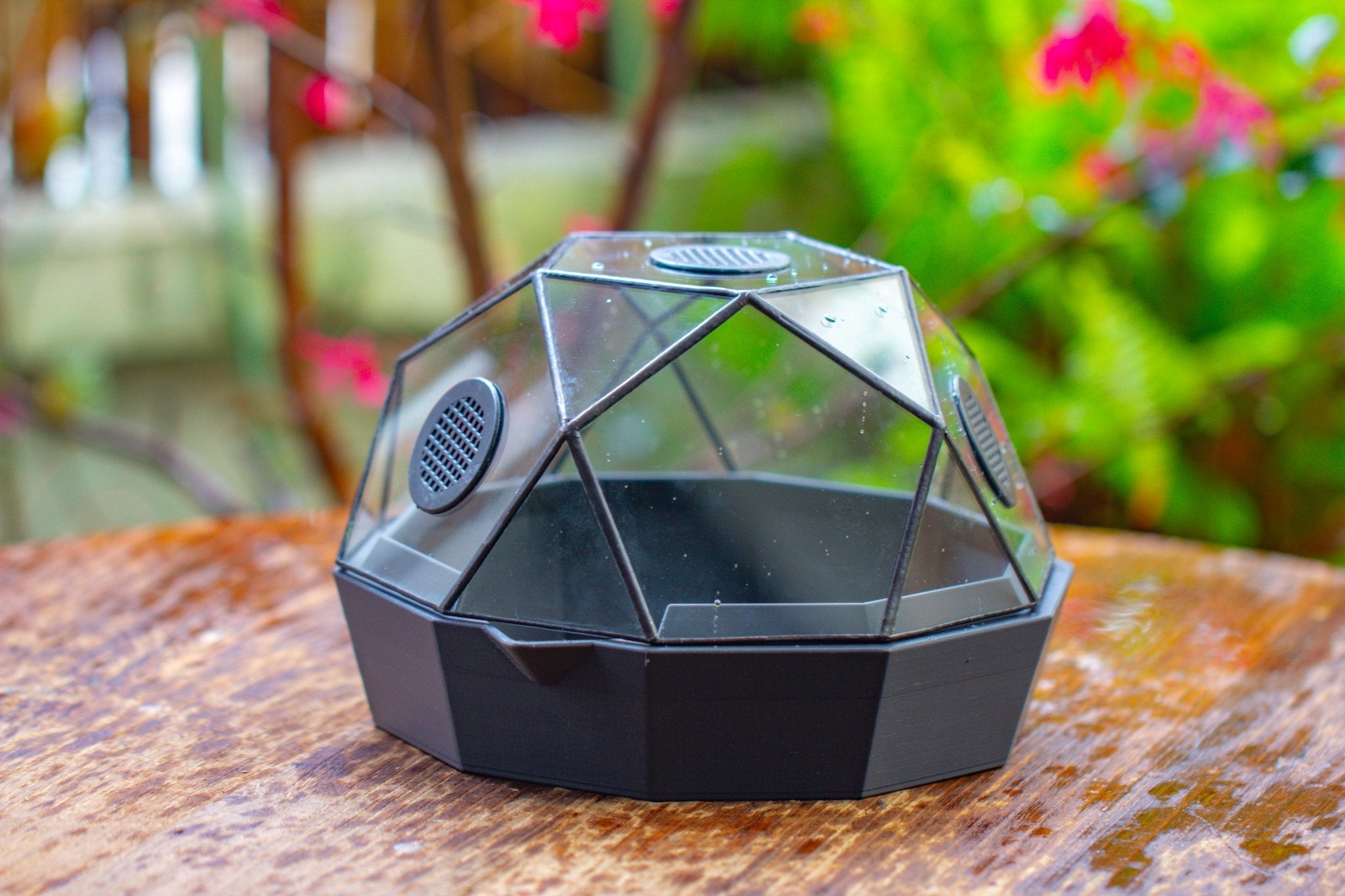 Dome Geometric Glass Terrarium, Vented, Two - part, for Moss Beginners PG08S2 - NCYPgarden