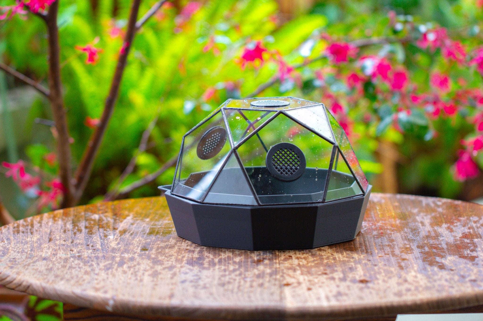 Dome Geometric Glass Terrarium, Vented, Two - part, for Moss Beginners PG08S2 - NCYPgarden