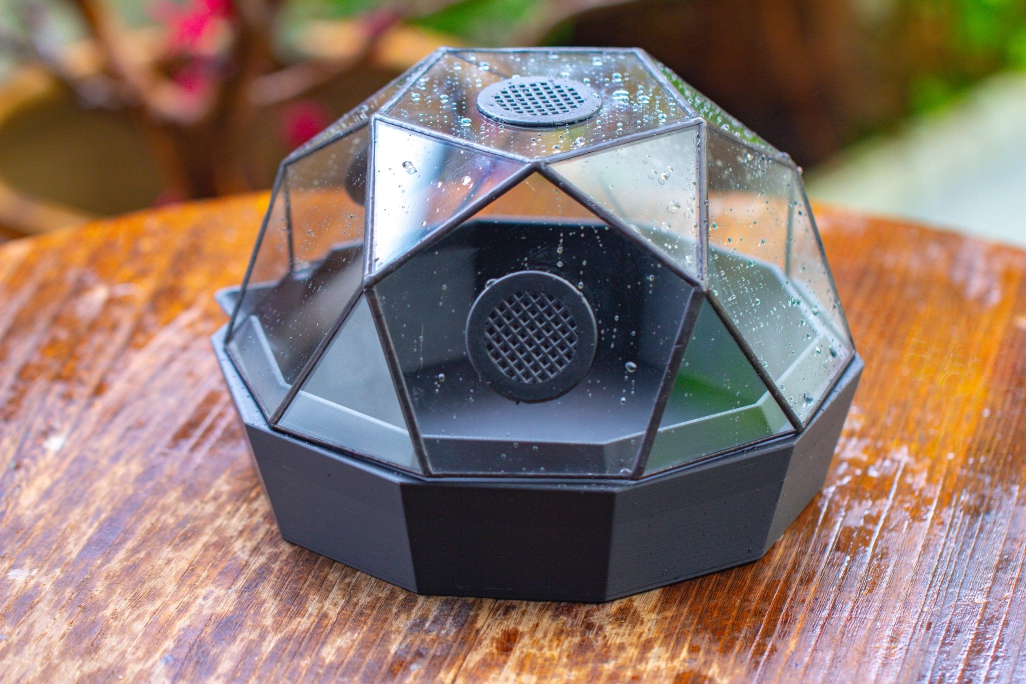 Dome Geometric Glass Terrarium, Vented, Two - part, for Moss Beginners PG08S2 - NCYPgarden