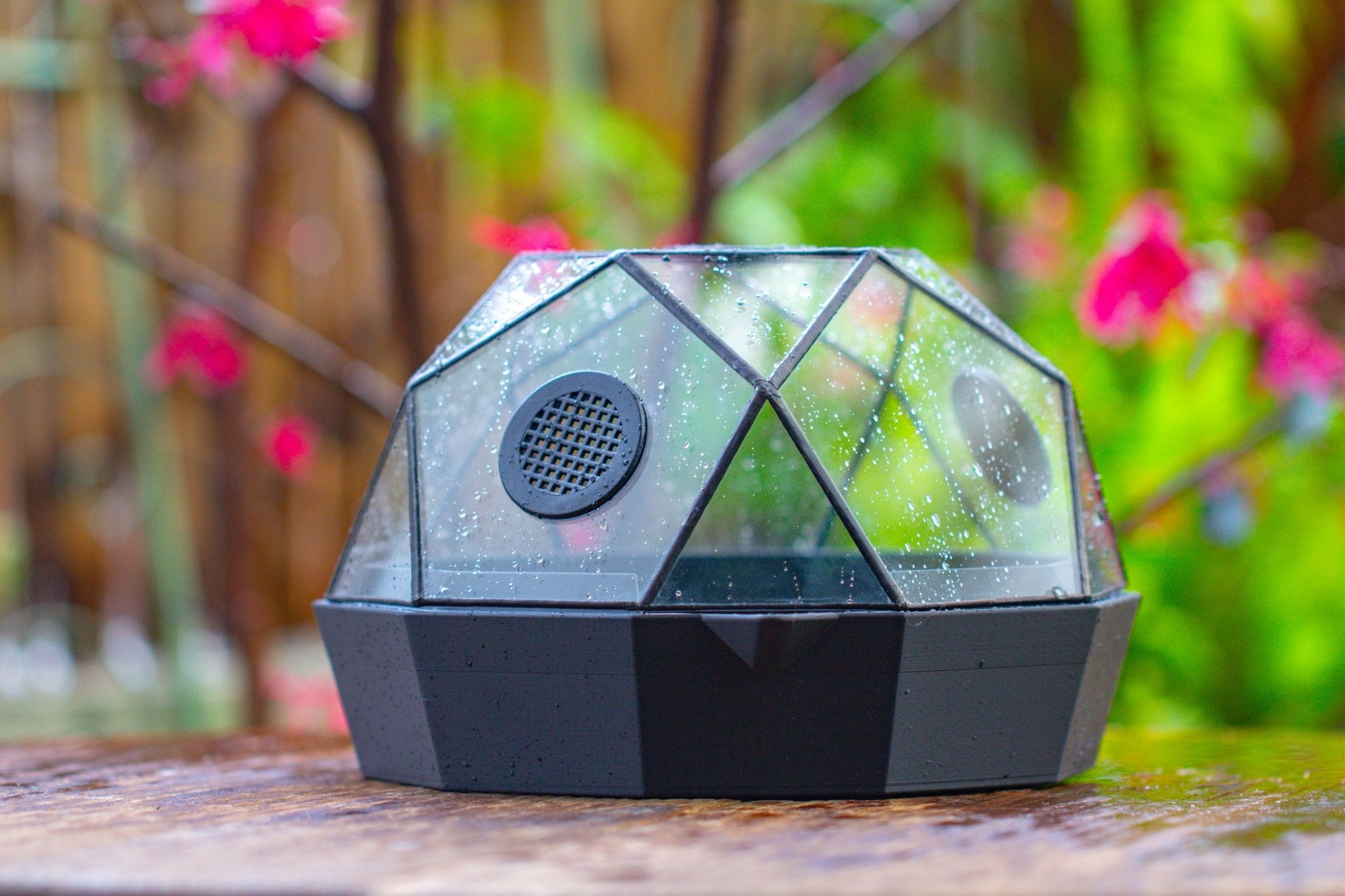 Dome Geometric Glass Terrarium, Vented, Two - part, for Moss Beginners PG08S2 - NCYPgarden
