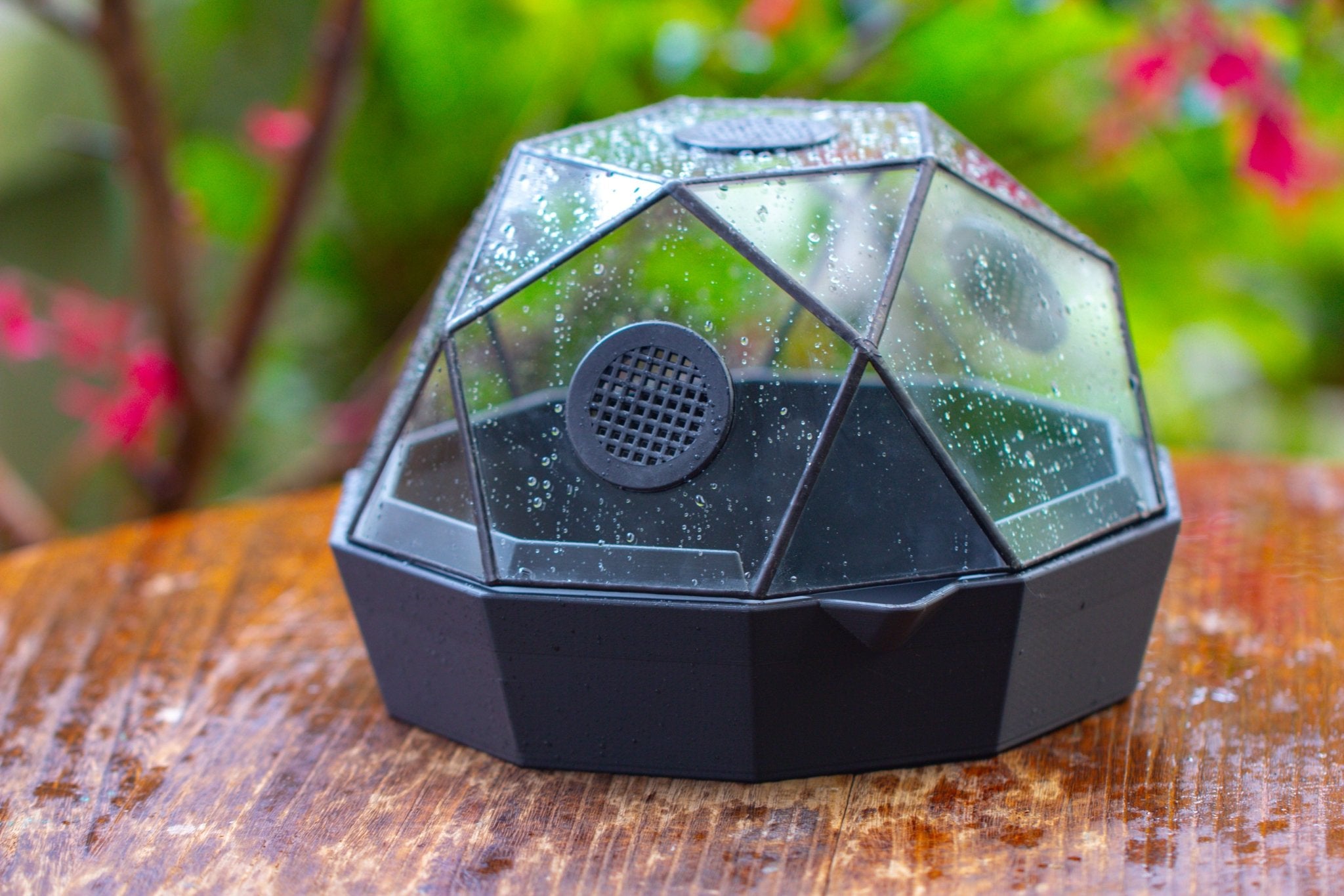 Dome Geometric Glass Terrarium, Vented, Two - part, for Moss Beginners PG08S2 - NCYPgarden