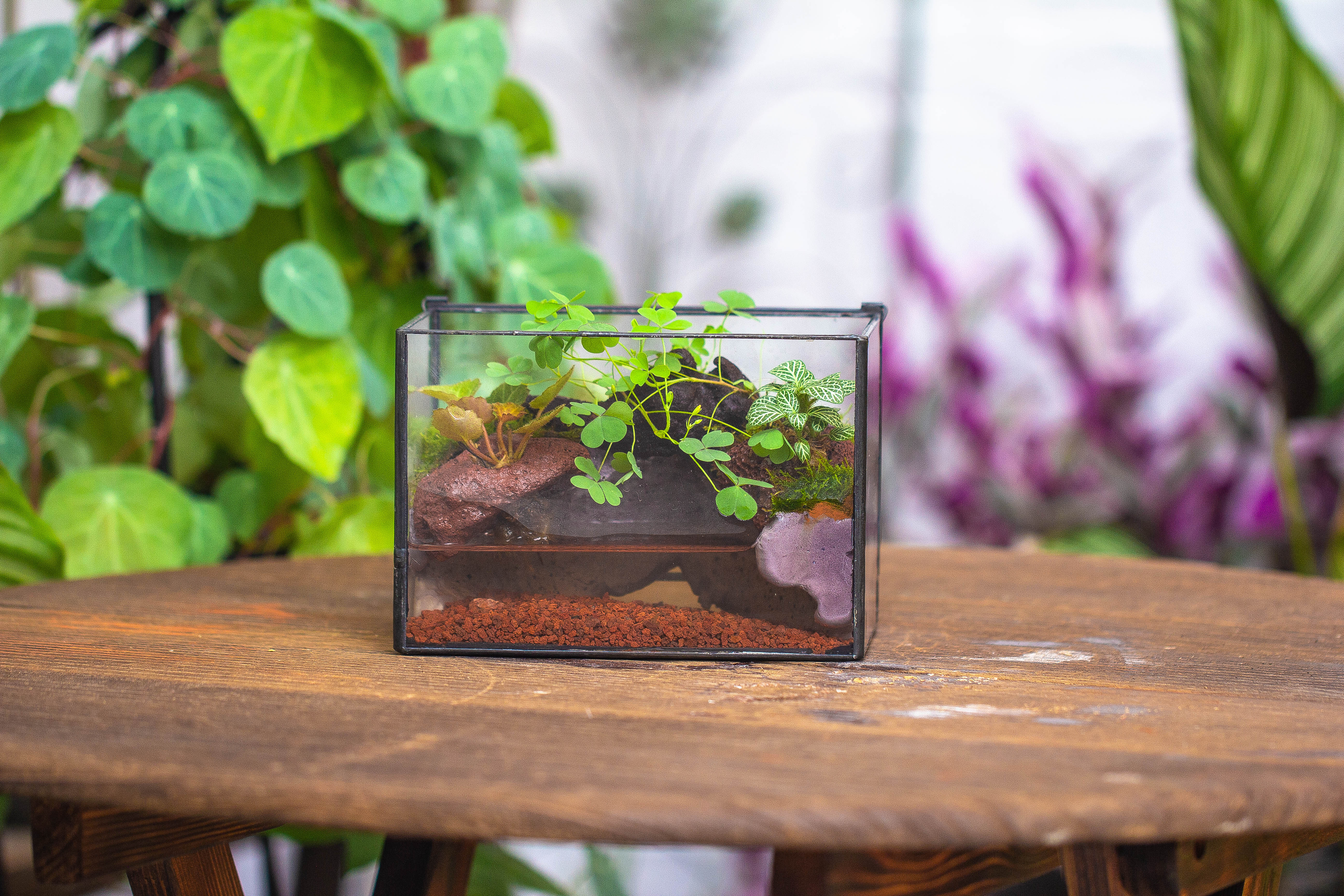 NCYP Watertight Close Small Rectangle Geometric Glass Tin Terrarium, for small waterpond, moss landscape, Live Miniature, water pond - NCYPgarden