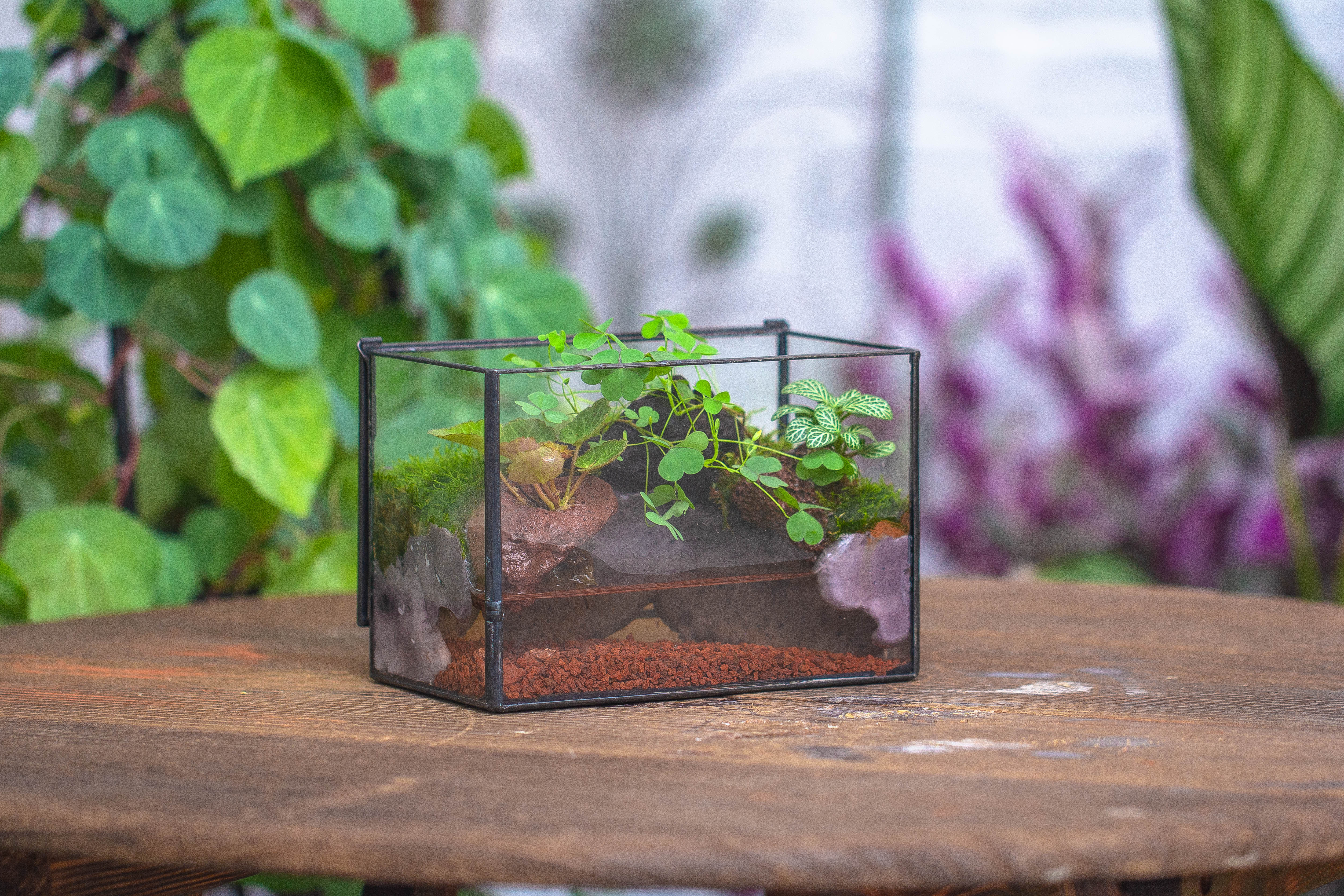 NCYP Watertight Close Small Rectangle Geometric Glass Tin Terrarium, for small waterpond, moss landscape, Live Miniature, water pond - NCYPgarden