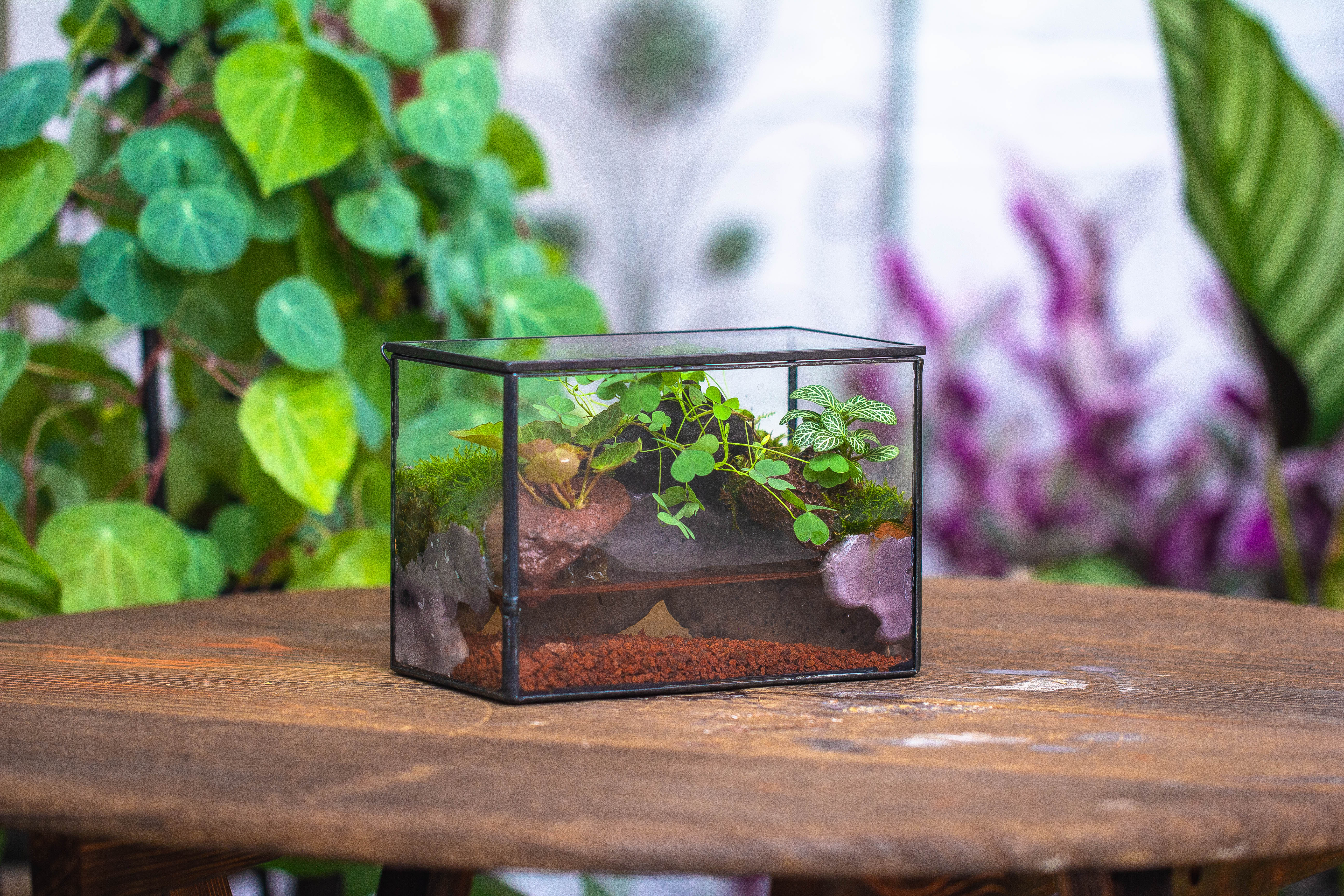 NCYP Watertight Close Small Rectangle Geometric Glass Tin Terrarium, for small waterpond, moss landscape, Live Miniature, water pond - NCYPgarden