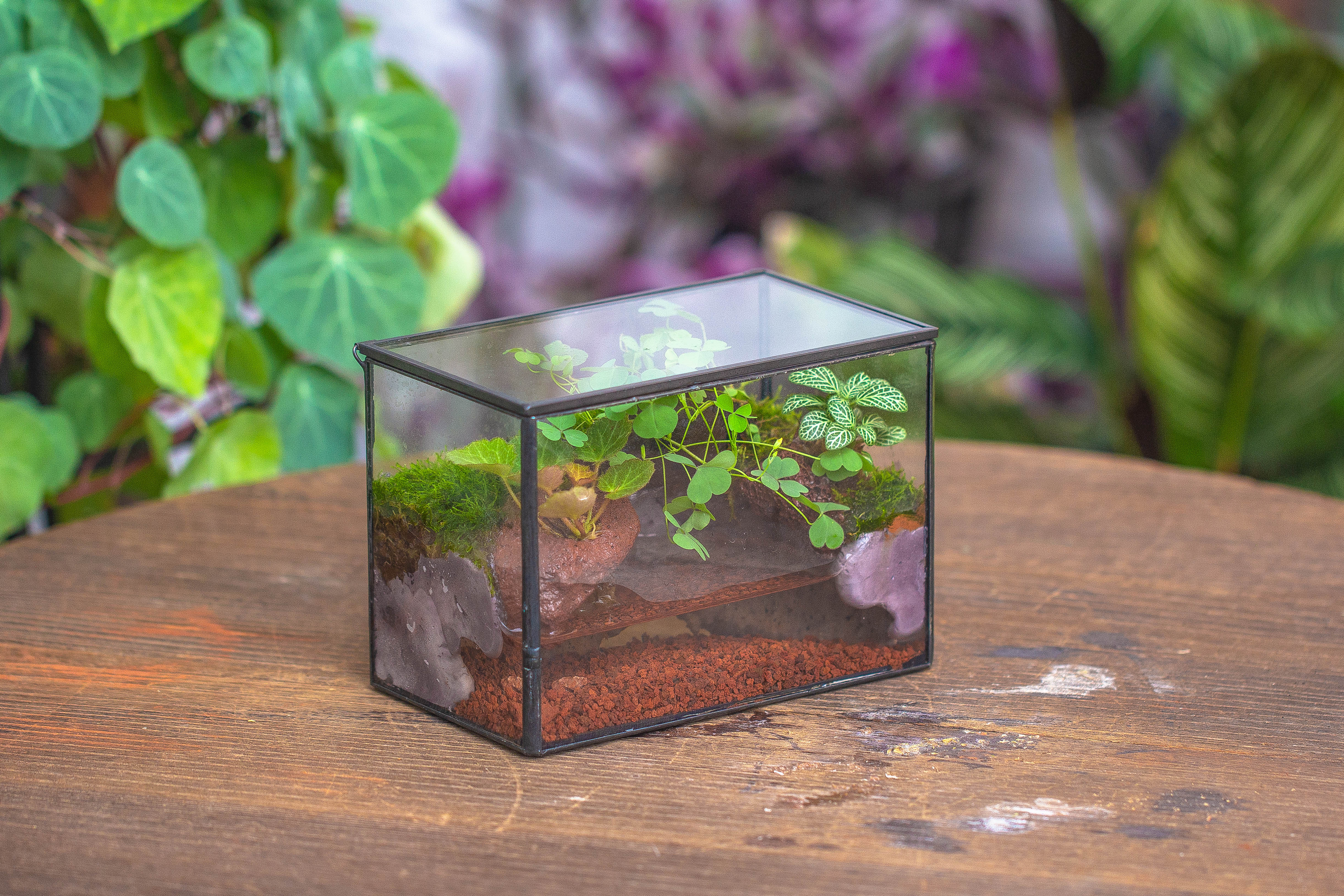 NCYP Watertight Close Small Rectangle Geometric Glass Tin Terrarium, for small waterpond, moss landscape, Live Miniature, water pond - NCYPgarden