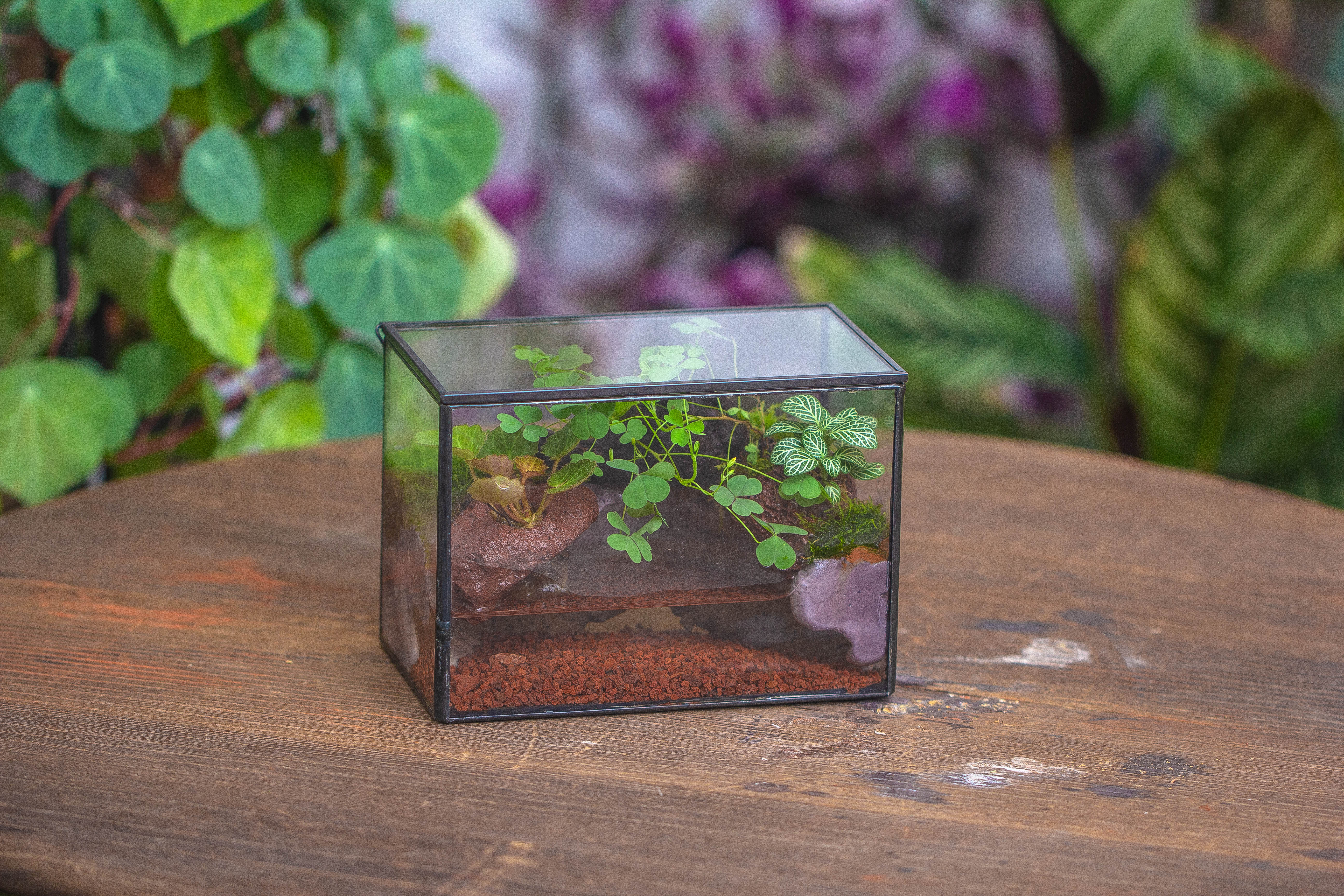 NCYP Watertight Close Small Rectangle Geometric Glass Tin Terrarium, for small waterpond, moss landscape, Live Miniature, water pond - NCYPgarden
