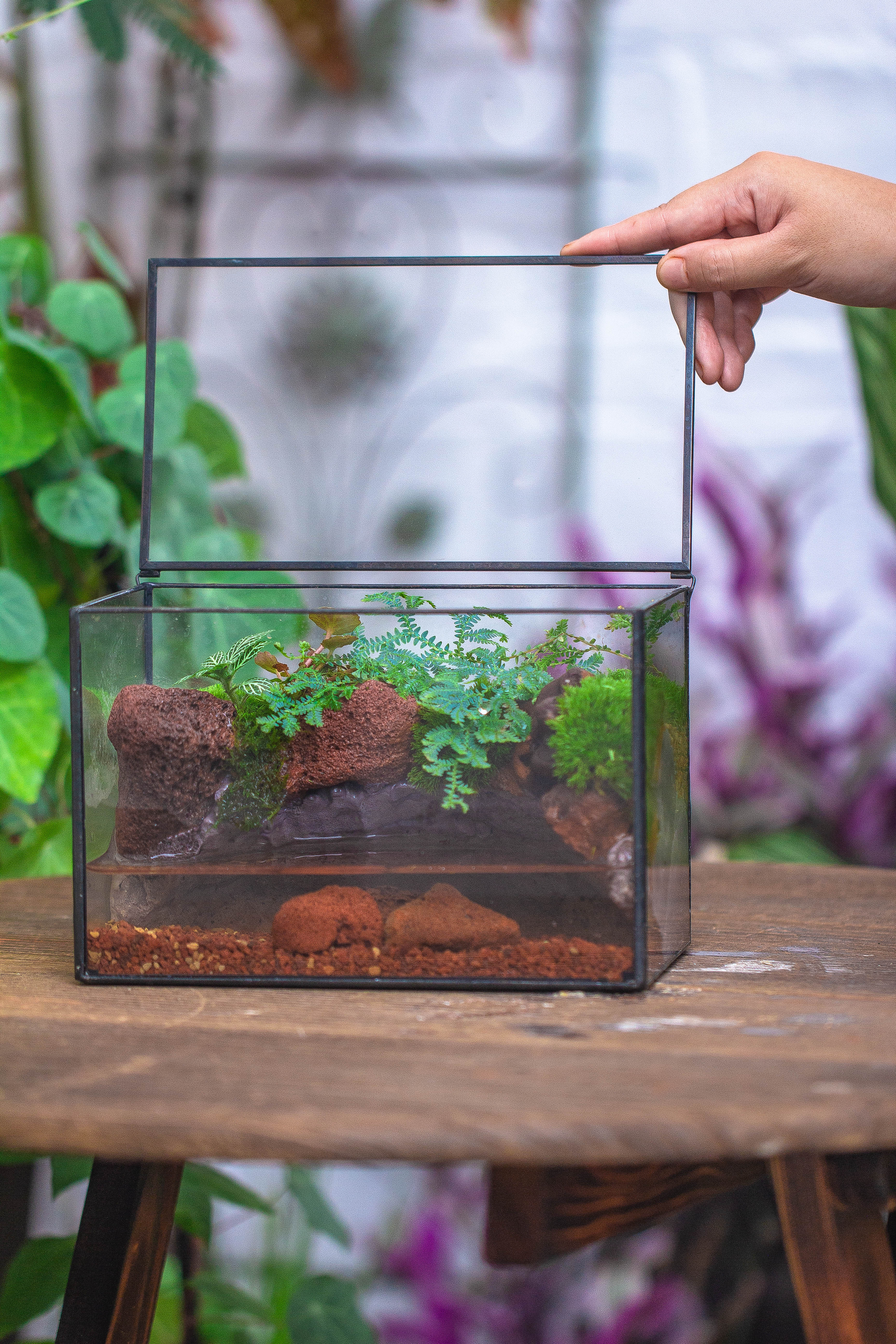 NCYP Watertight Close Rectangle Geometric Glass Tin Terrarium, for small waterpond, moss landscape, Live Miniature, water pond, landscape - NCYPgarden