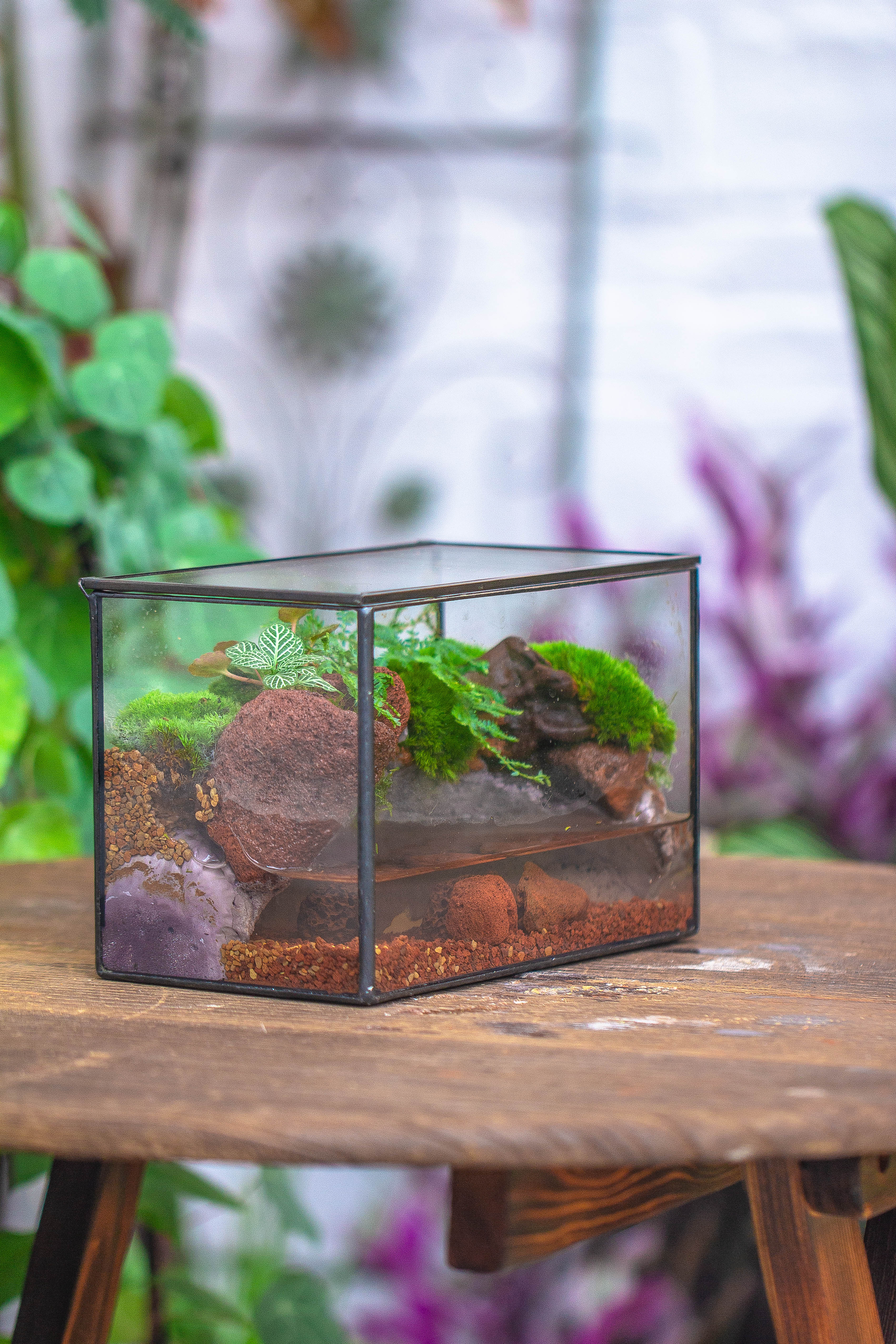 NCYP Watertight Close Rectangle Geometric Glass Tin Terrarium, for small waterpond, moss landscape, Live Miniature, water pond, landscape - NCYPgarden