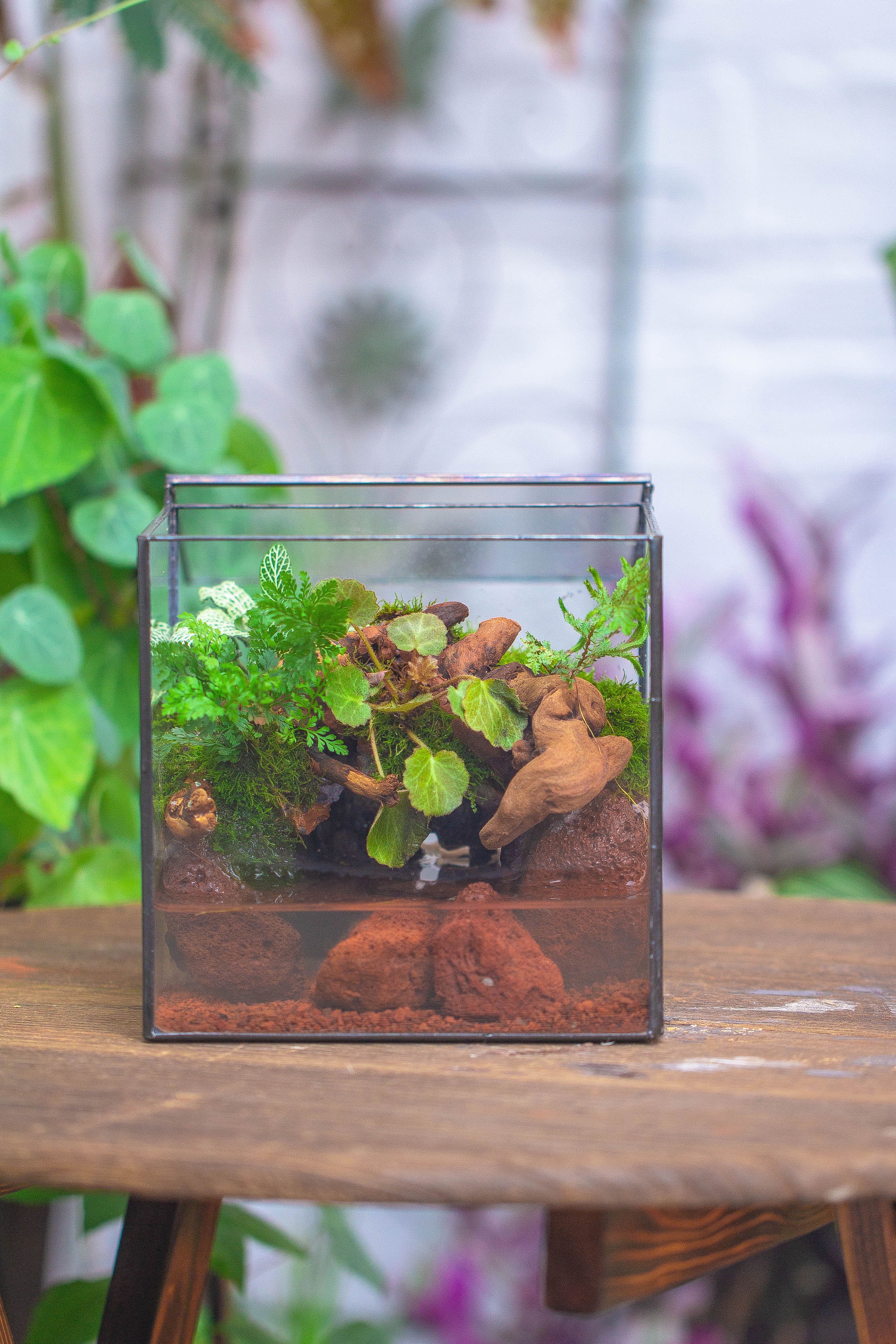 NCYP Watertight Close Cube 7" Geometric Glass Tin Terrarium, for small waterpond, moss landscape, Live Miniature, water pond, landscape - NCYPgarden
