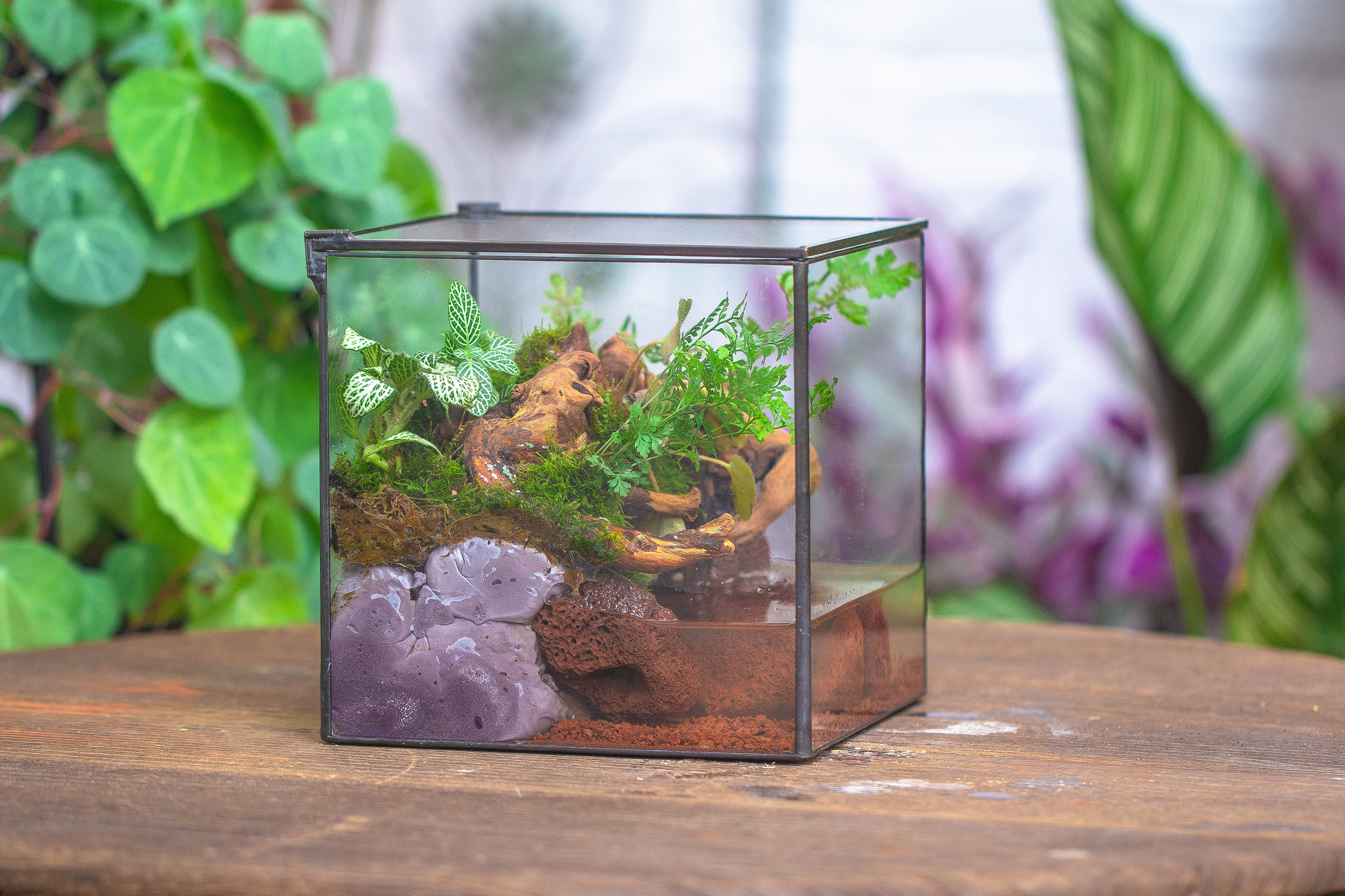NCYP Watertight Close Cube 7" Geometric Glass Tin Terrarium, for small waterpond, moss landscape, Live Miniature, water pond, landscape - NCYPgarden