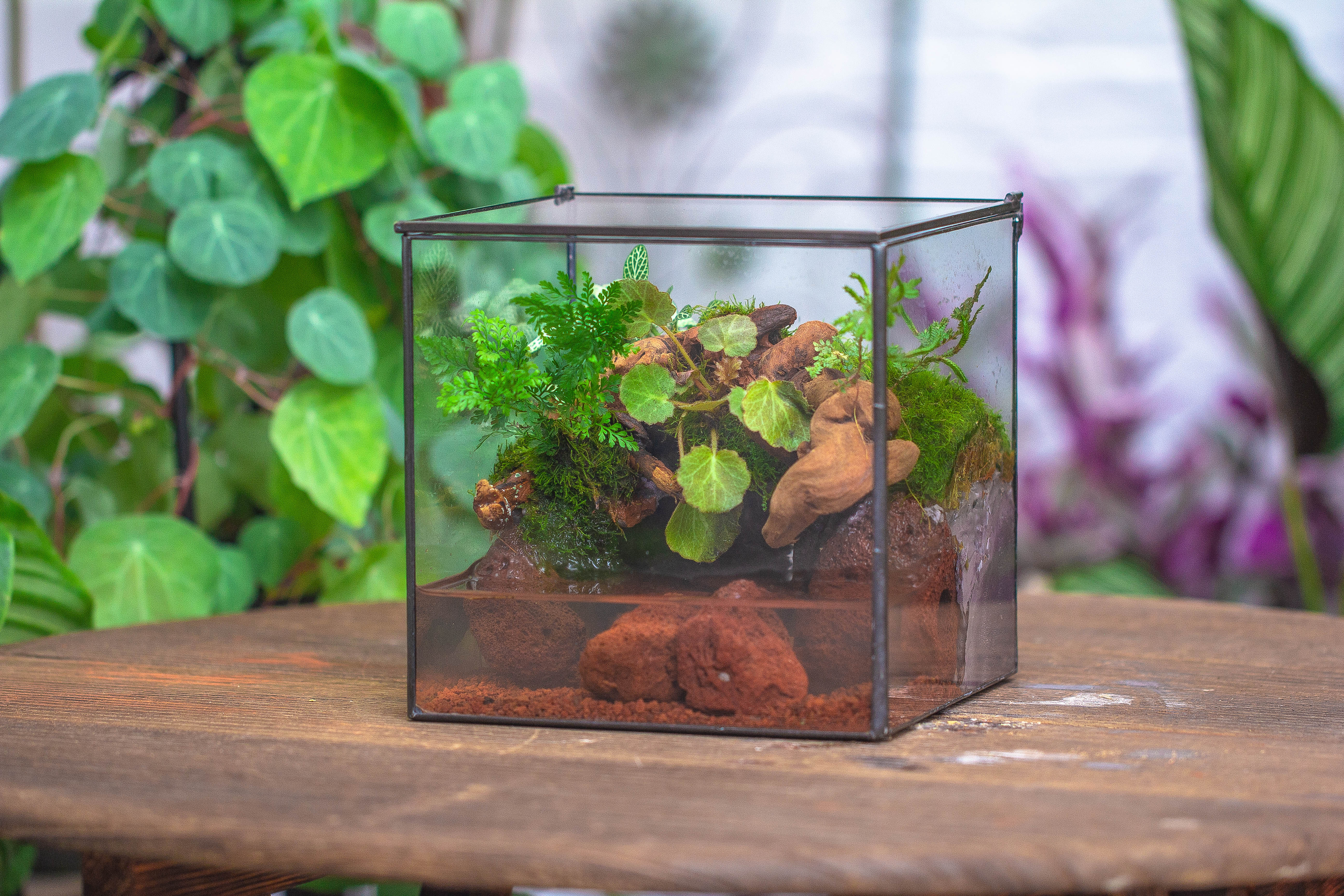NCYP Watertight Close Cube 7" Geometric Glass Tin Terrarium, for small waterpond, moss landscape, Live Miniature, water pond, landscape - NCYPgarden