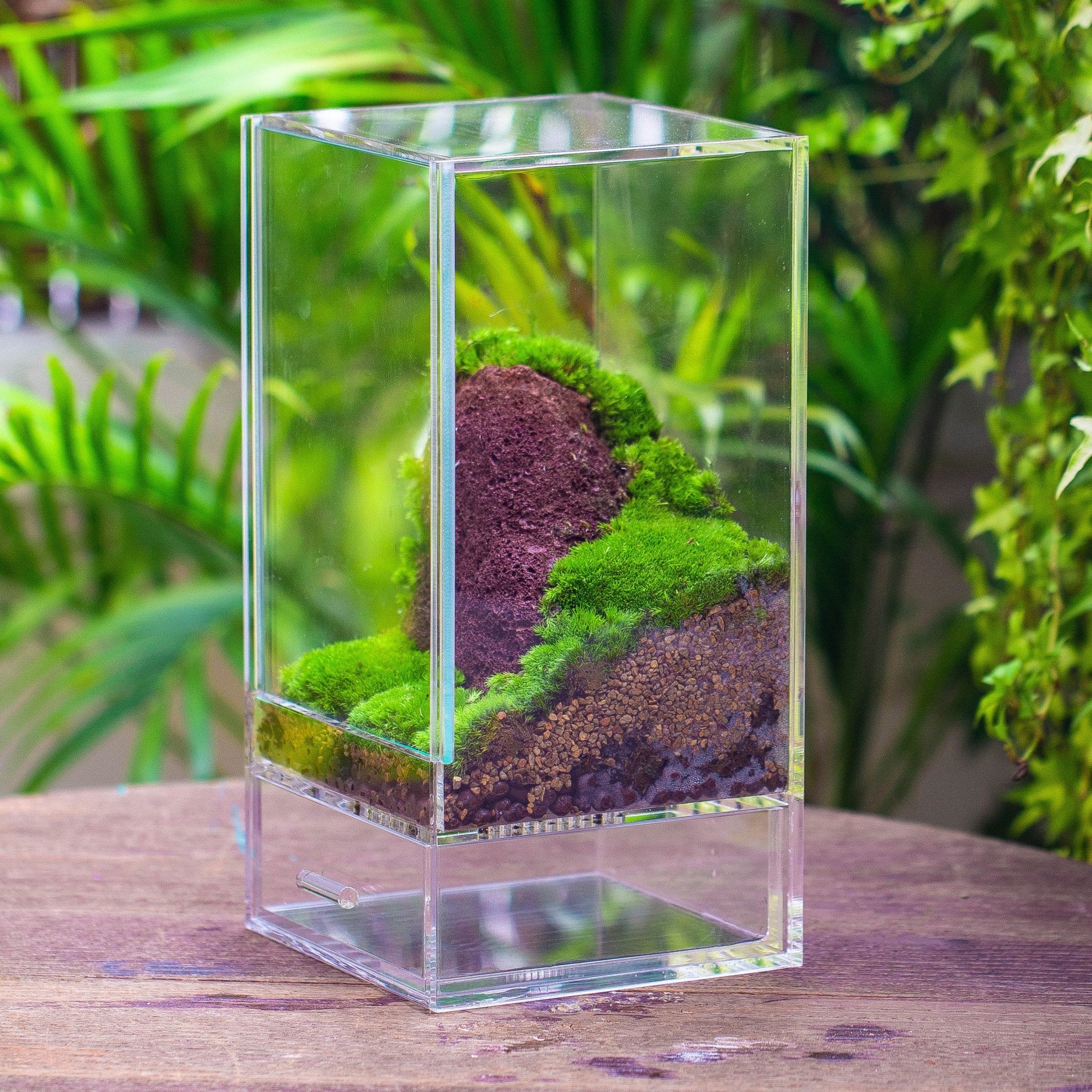 acrylic plant terrarium Acrylic Products