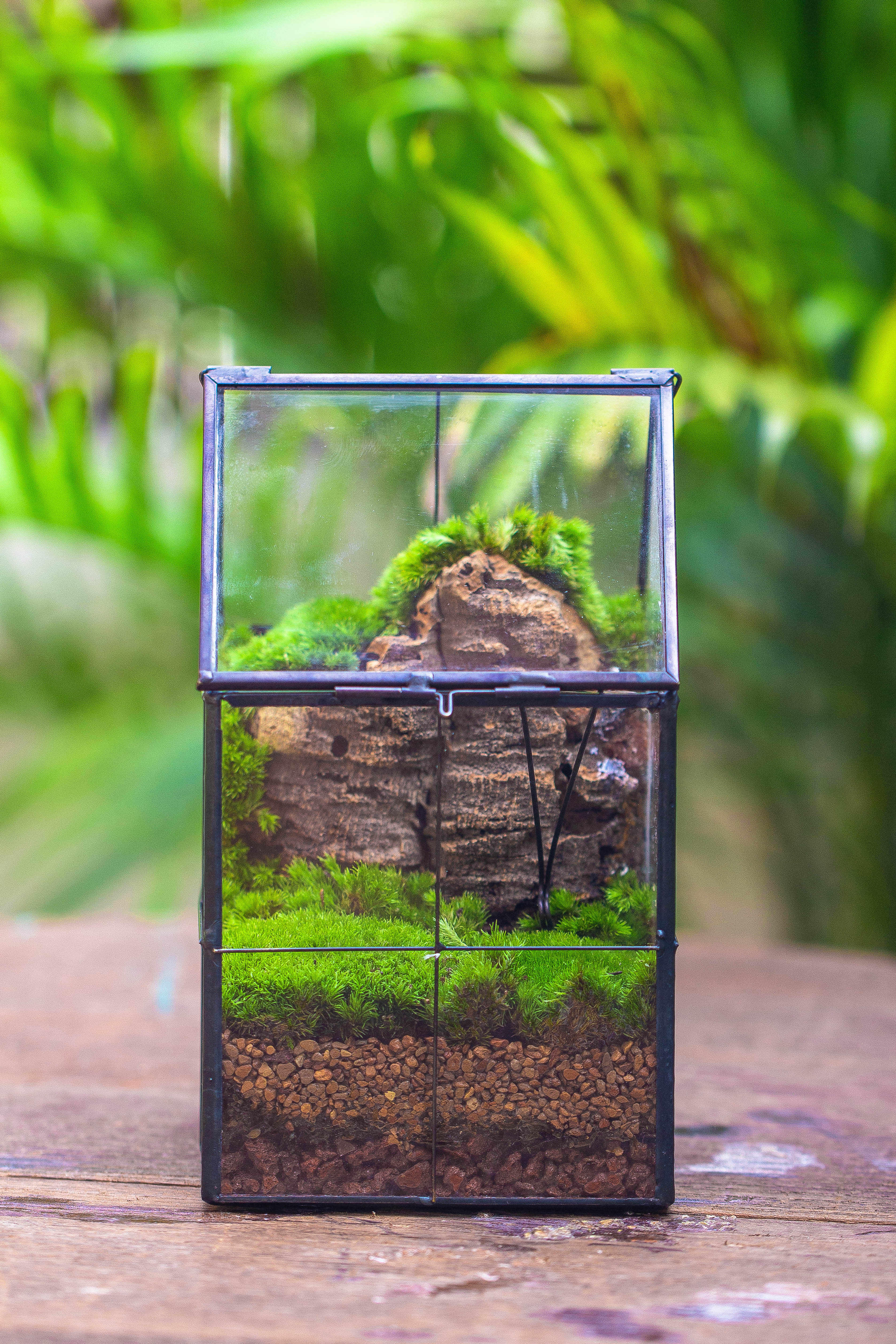 Handmade glass and tin close highe mini house shape close geometric terrarium for moss, succulents, Drosera - NCYPgarden