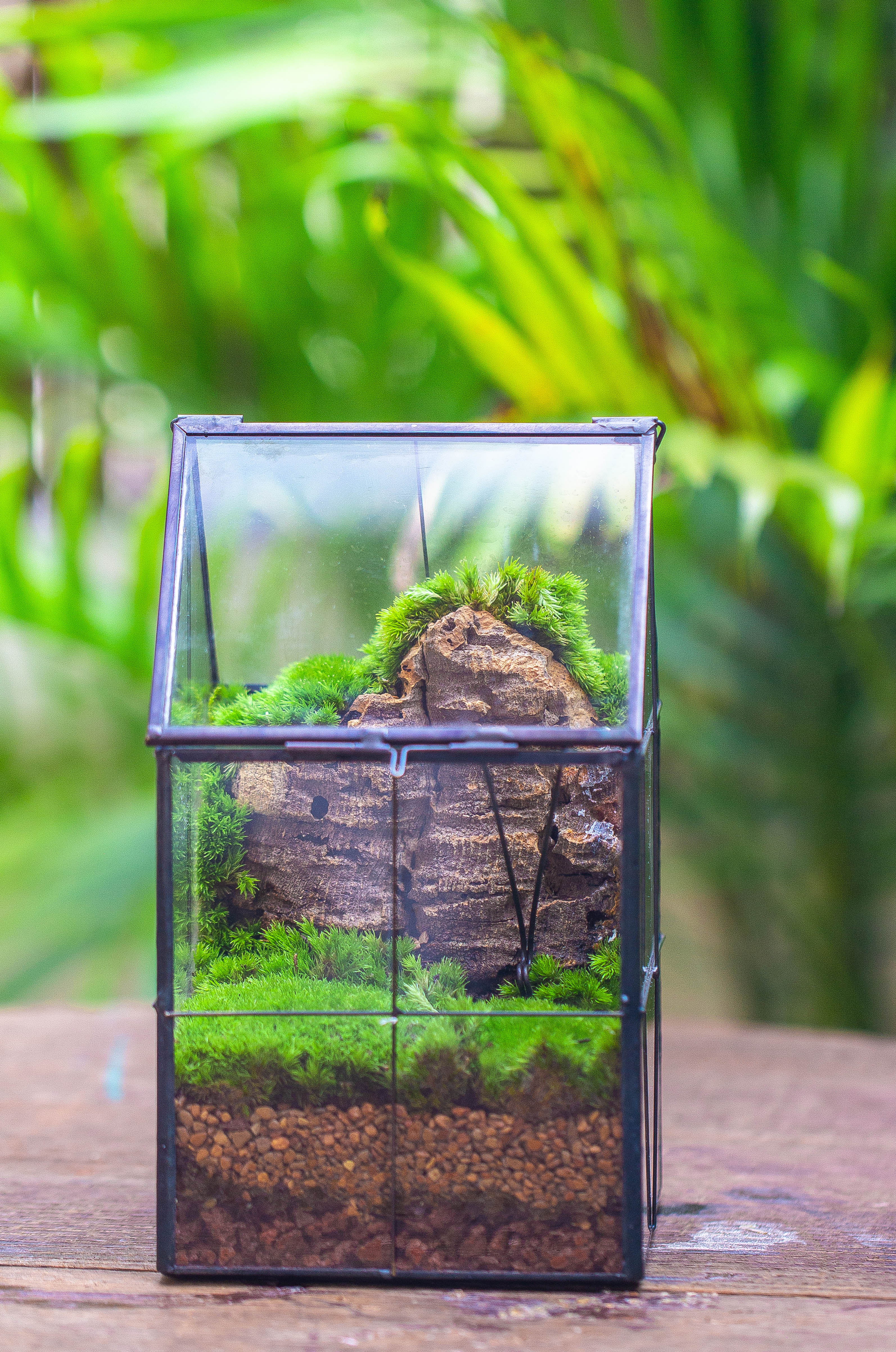 Handmade glass and tin close highe mini house shape close geometric terrarium for moss, succulents, Drosera - NCYPgarden