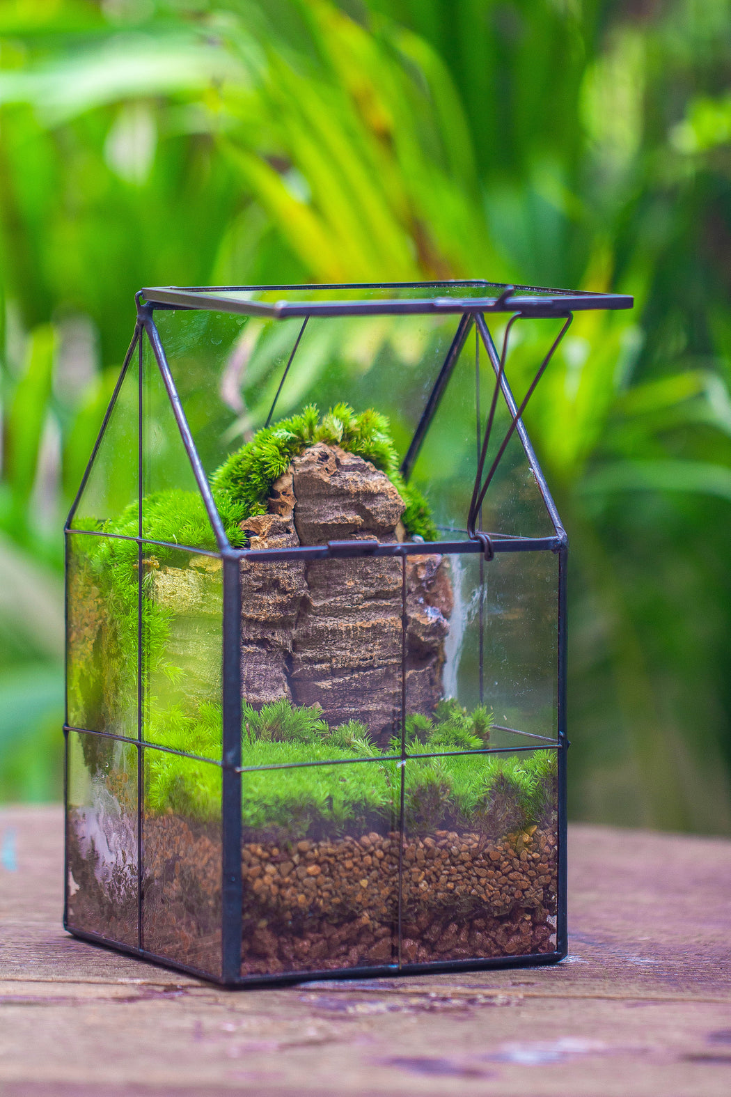 Handmade glass and tin close highe mini house shape close geometric terrarium for moss, succulents, Drosera - NCYPgarden