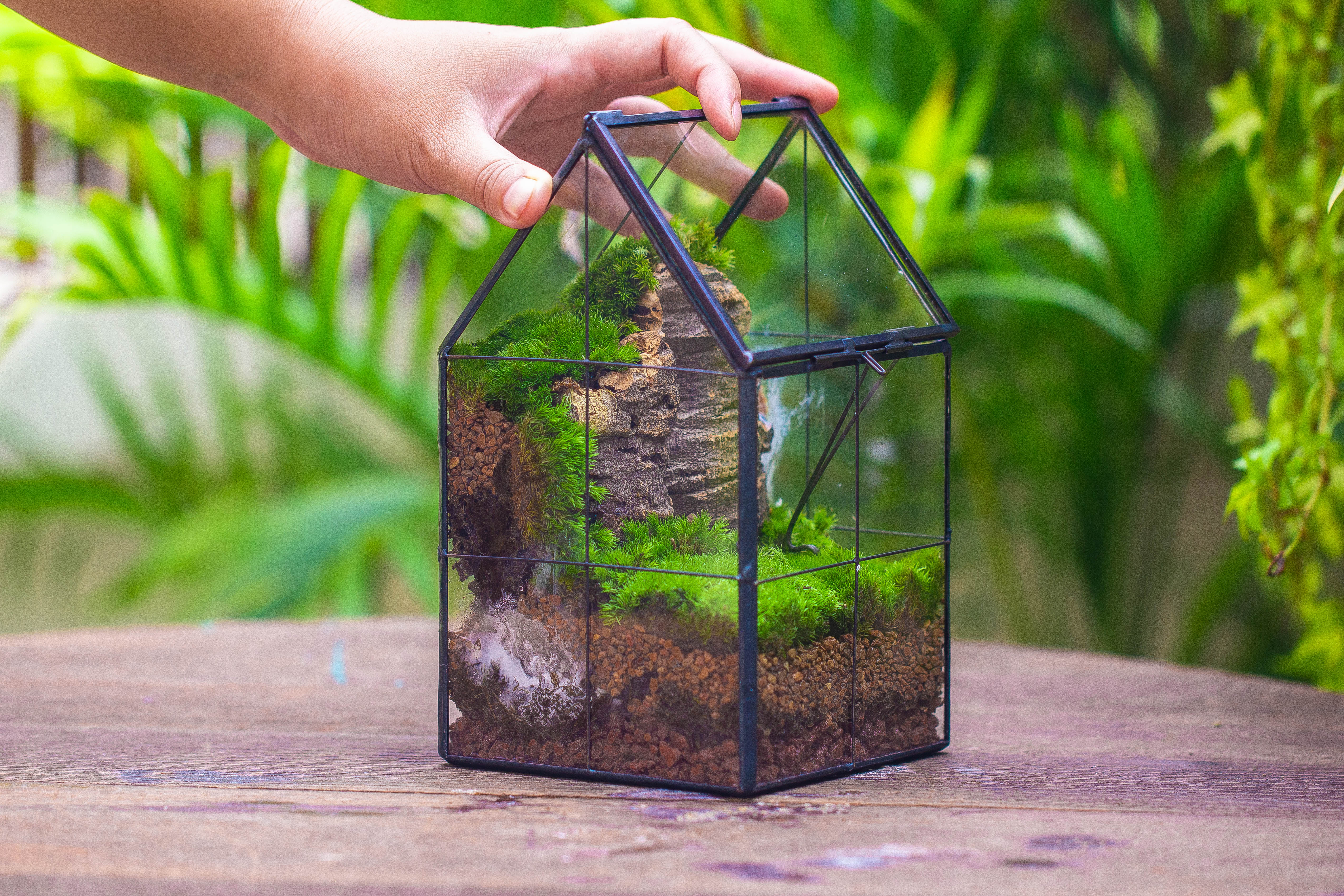 Handmade glass and tin close highe mini house shape close geometric terrarium for moss, succulents, Drosera - NCYPgarden