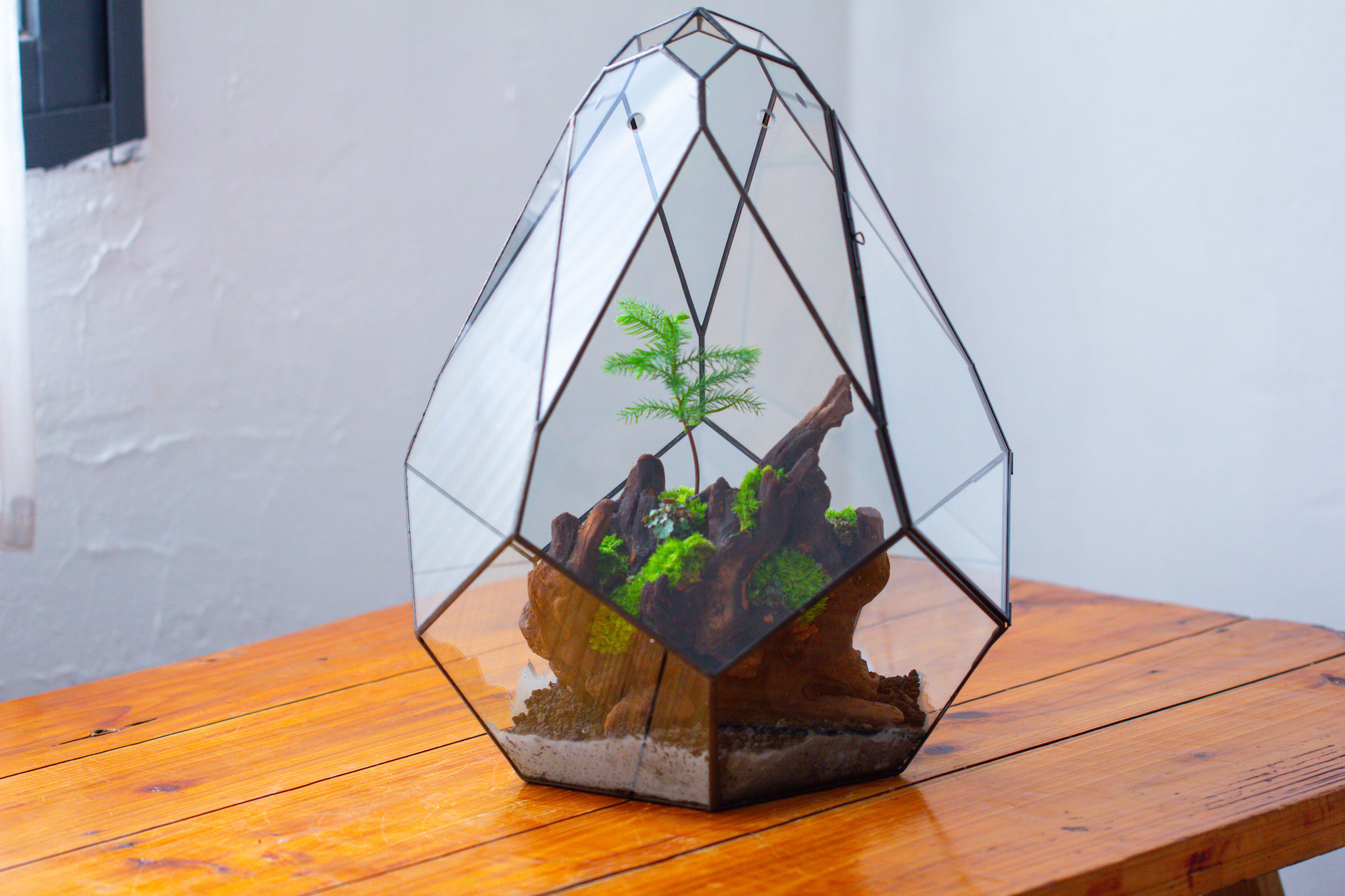 16" Large Teardrop Geometric Terrarium, close - NCYPgarden