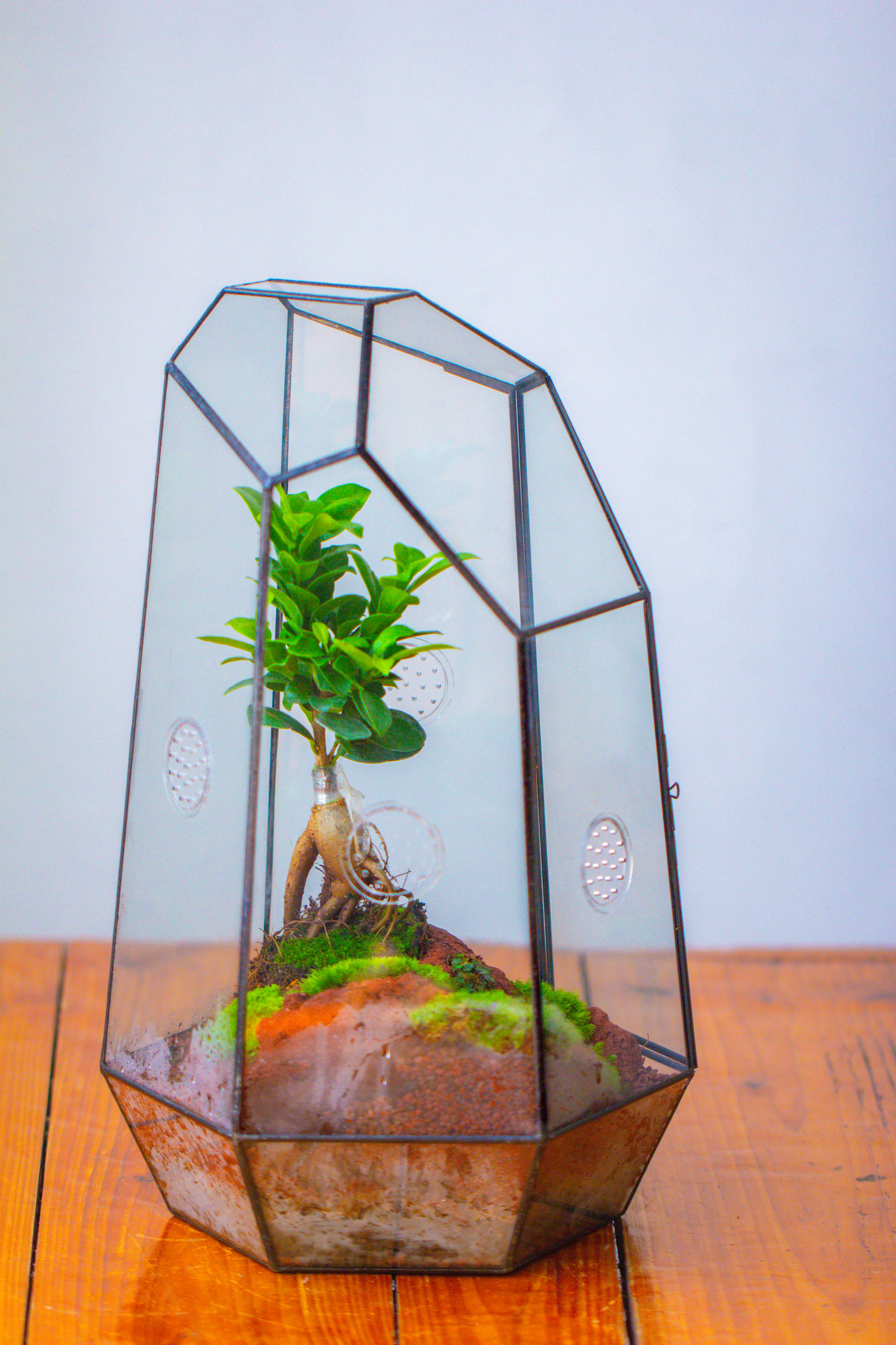 Handmade 41cm / 16" Tall IrregularGlass Geometric Terrarium Box with Vent - NCYPgarden