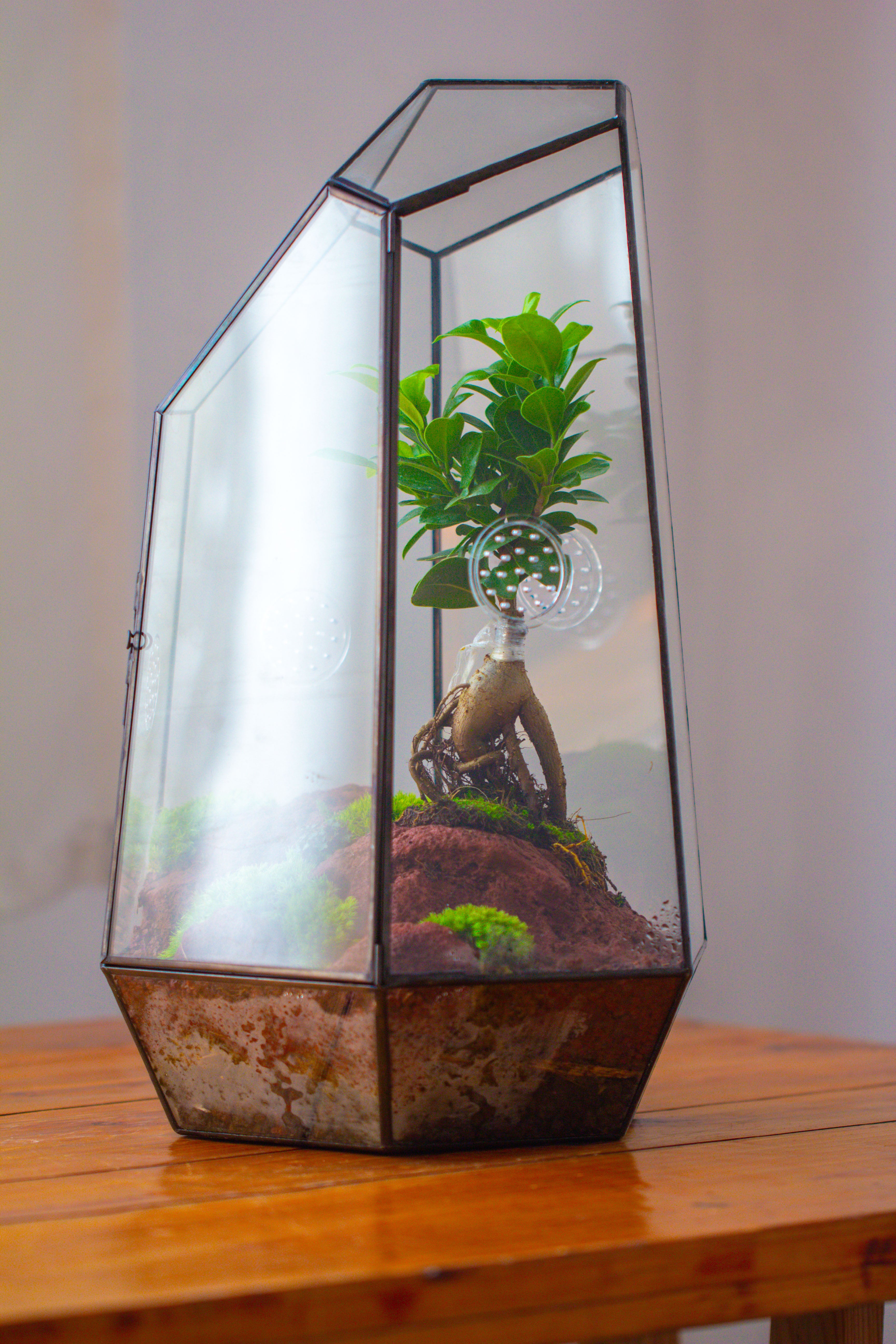 Handmade 41cm / 16" Tall IrregularGlass Geometric Terrarium Box with Vent - NCYPgarden