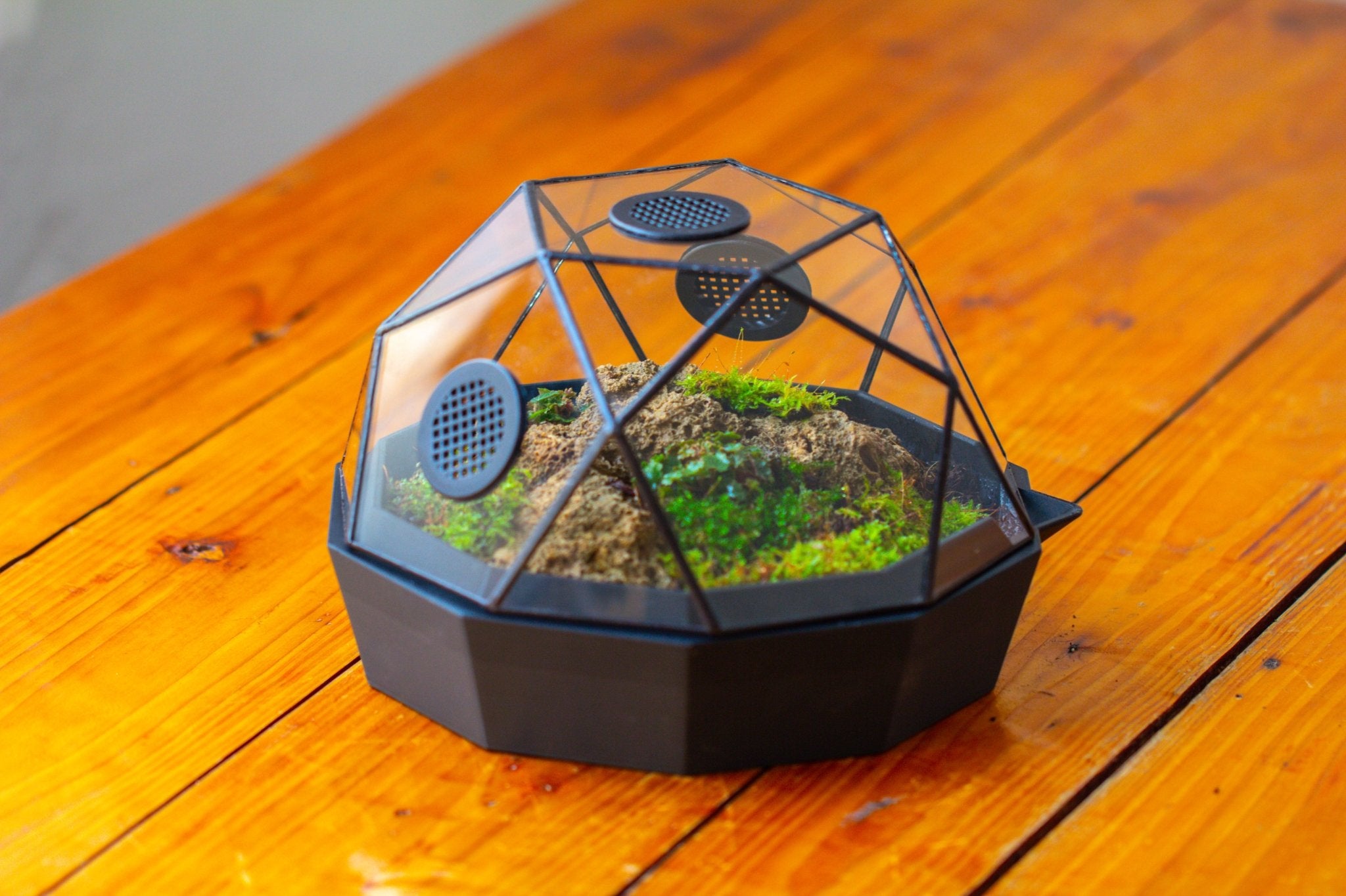 Dome Geometric Glass Terrarium, Vented, Two - part, for Moss Beginners PG08S2 - NCYPgarden