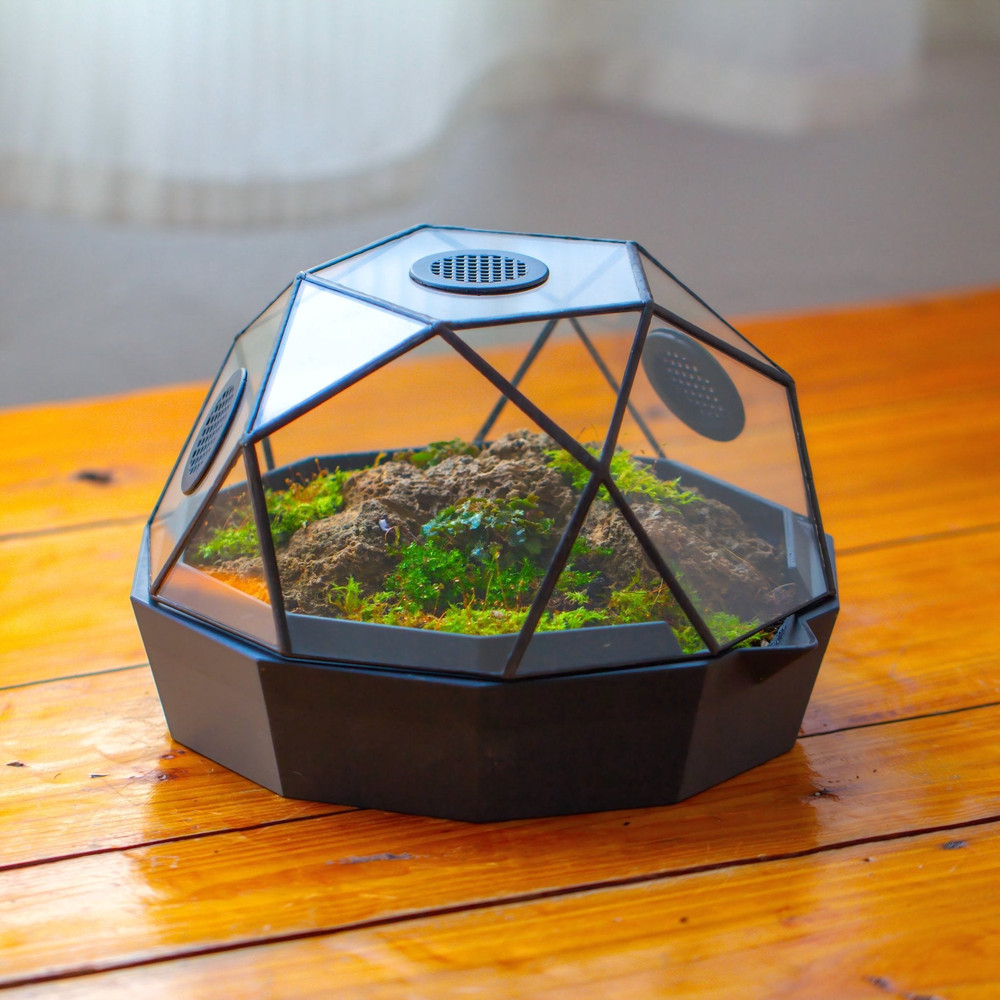 Dome Geometric Glass Terrarium, Vented, Two - part, for Moss Beginners PG08S2 - NCYPgarden