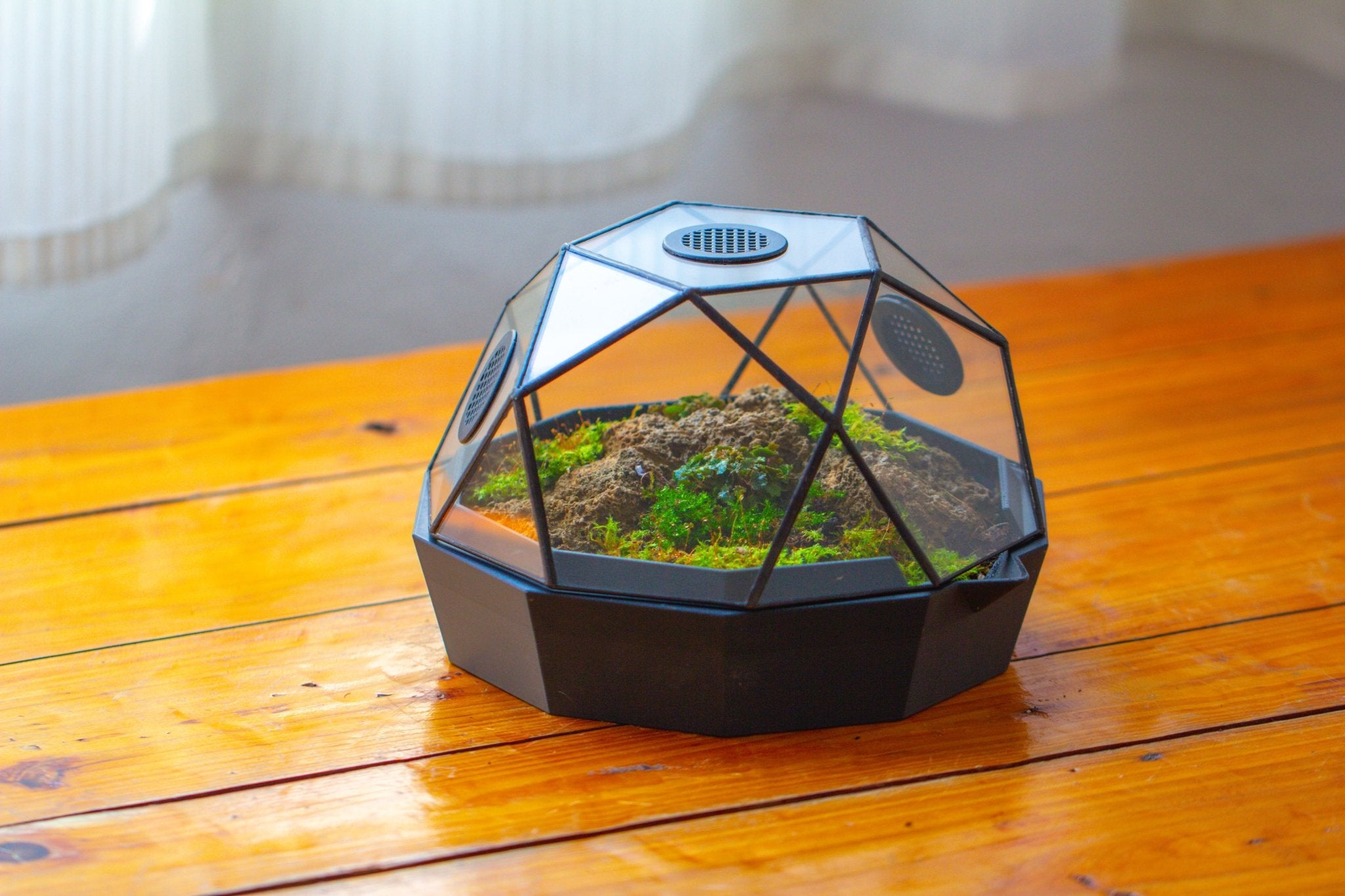 Dome Geometric Glass Terrarium, Vented, Two - part, for Moss Beginners PG08S2 - NCYPgarden