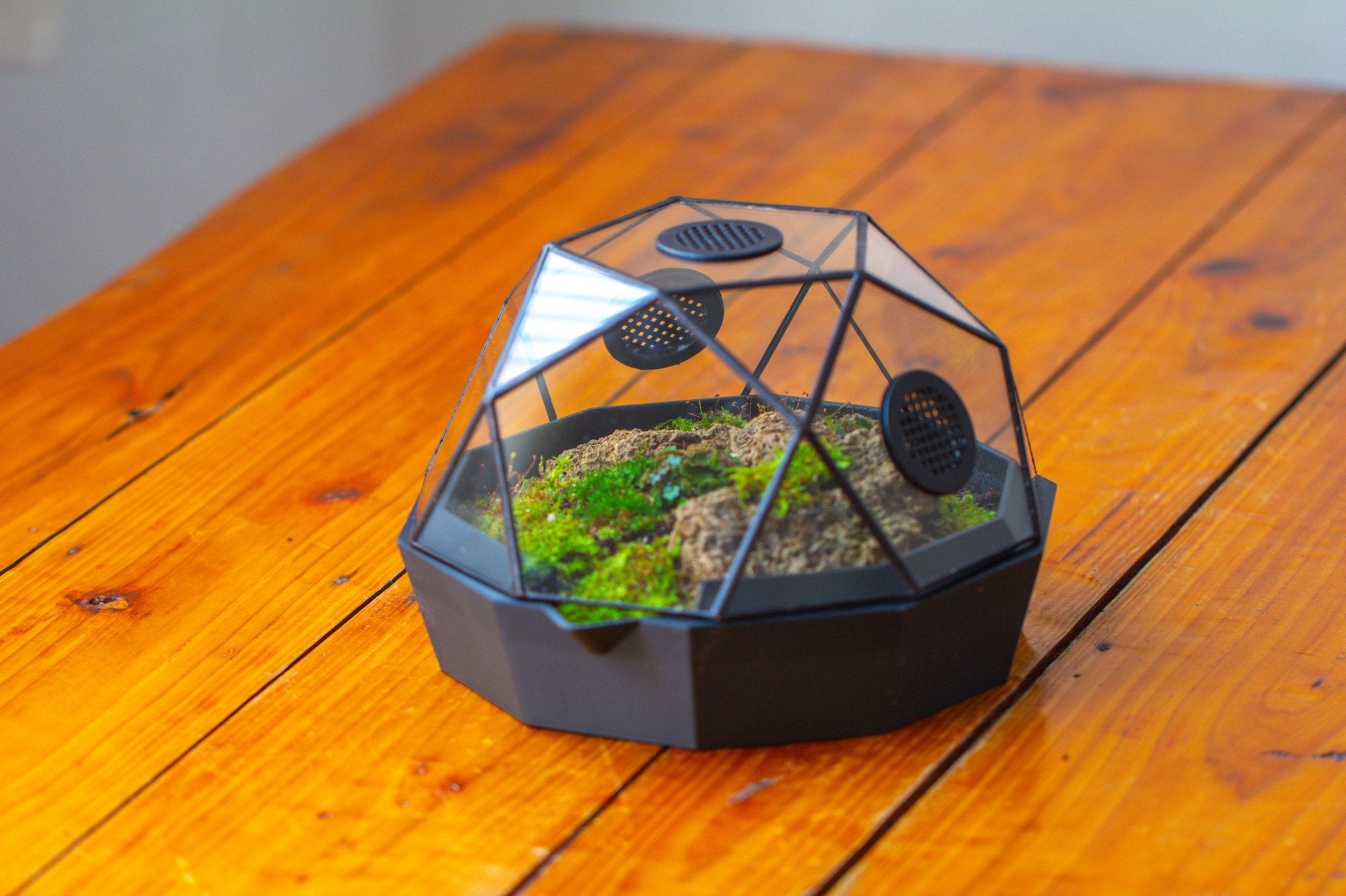 Dome Geometric Glass Terrarium, Vented, Two - part, for Moss Beginners PG08S2 - NCYPgarden