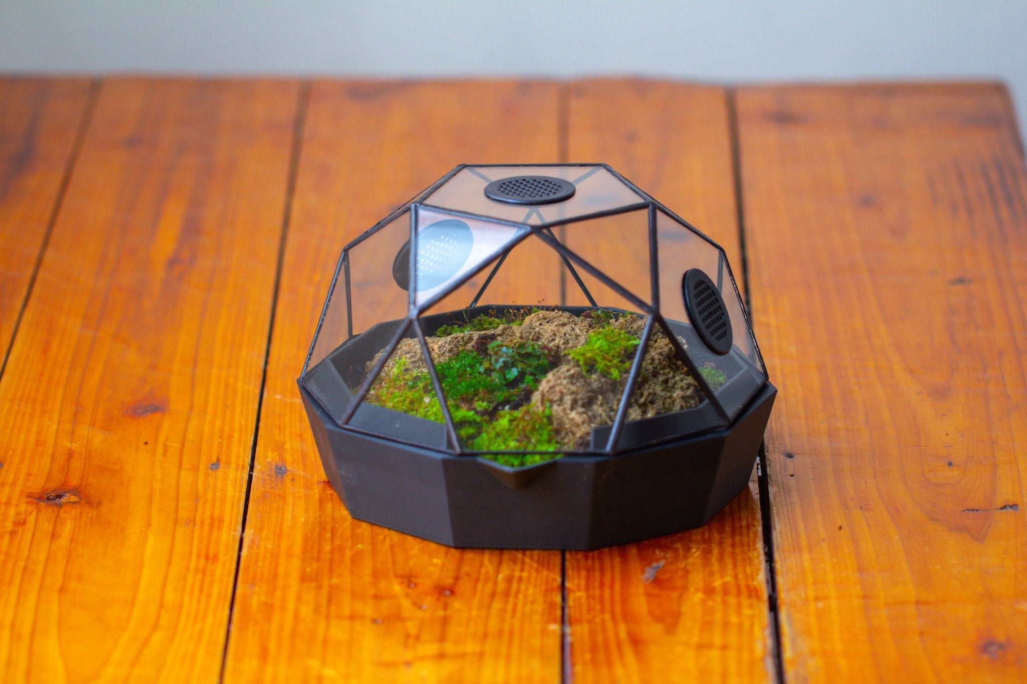 Dome Geometric Glass Terrarium, Vented, Two - part, for Moss Beginners PG08S2 - NCYPgarden
