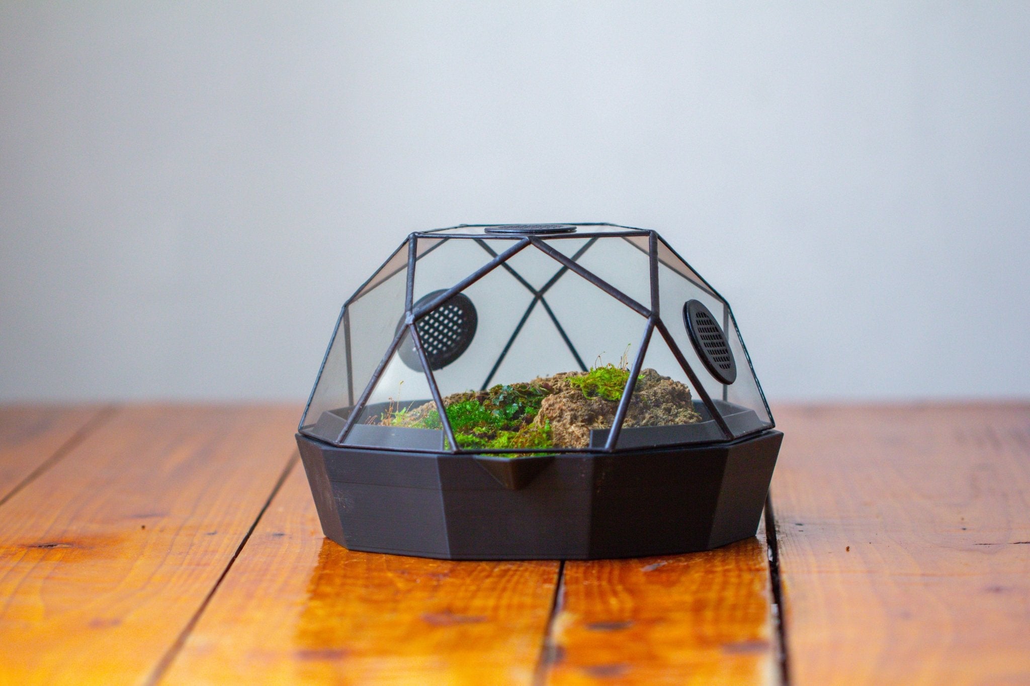 Dome Geometric Glass Terrarium, Vented, Two - part, for Moss Beginners PG08S2 - NCYPgarden