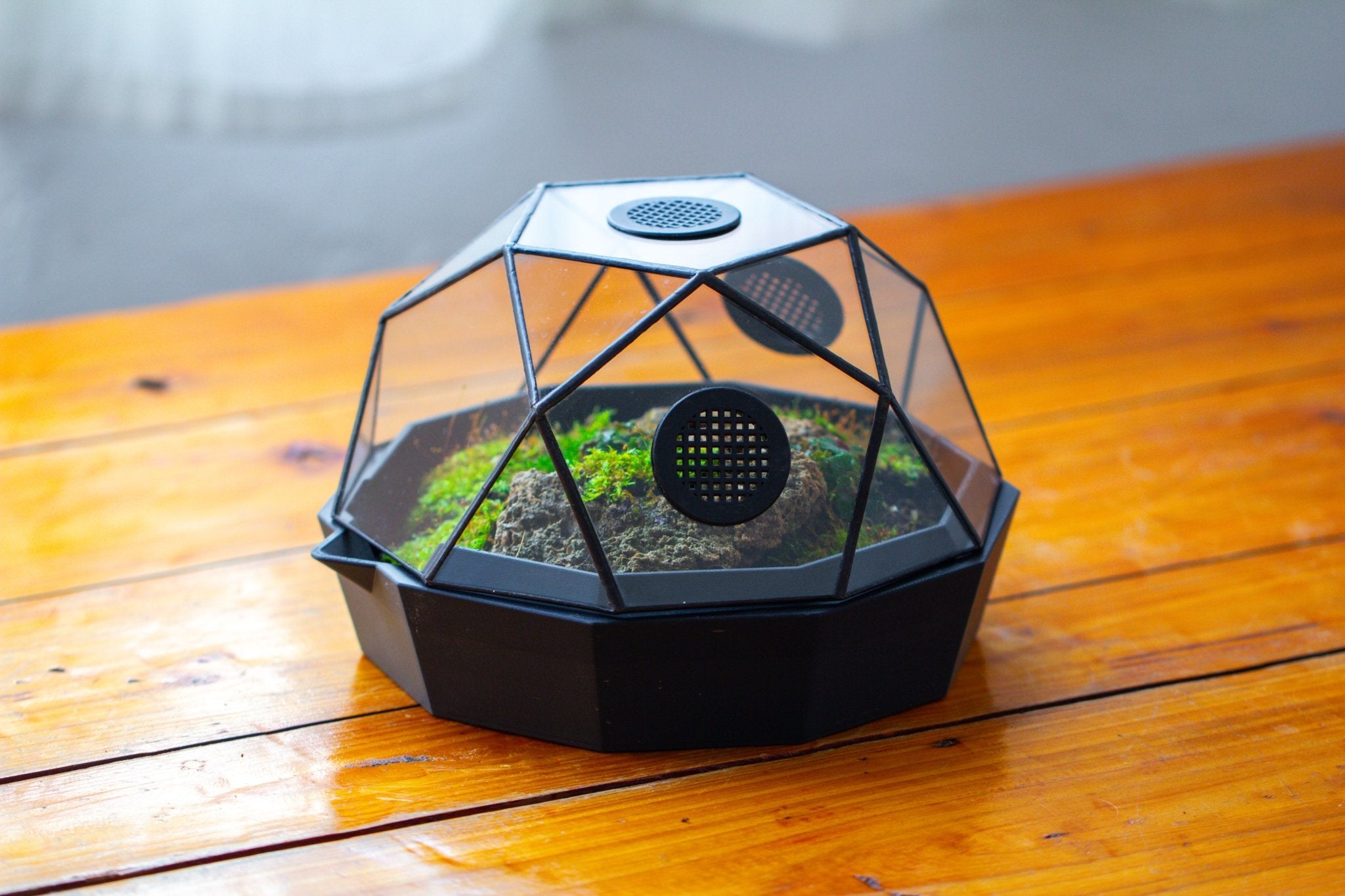 Dome Geometric Glass Terrarium, Vented, Two - part, for Moss Beginners PG08S2 - NCYPgarden