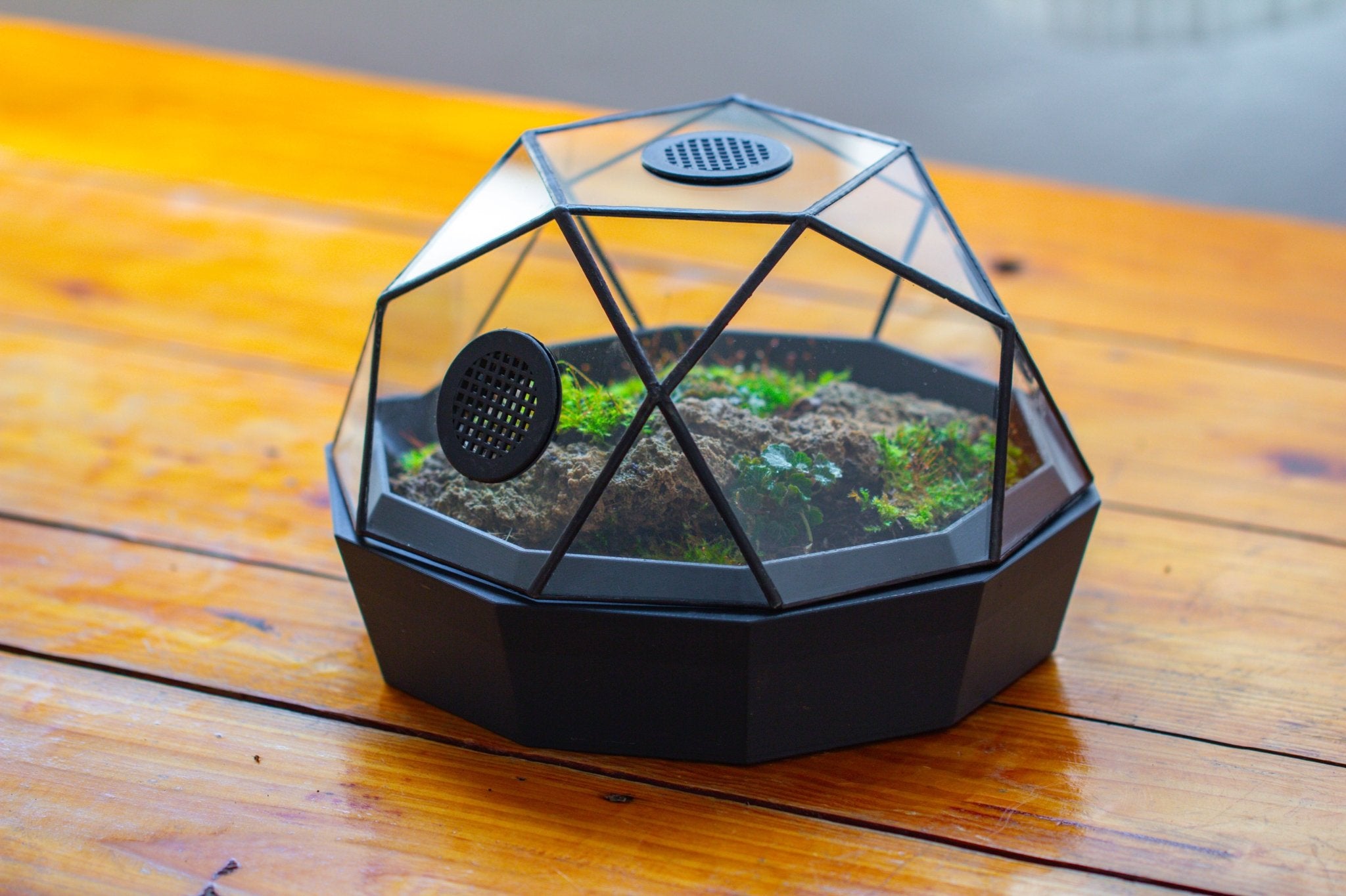 Dome Geometric Glass Terrarium, Vented, Two - part, for Moss Beginners PG08S2 - NCYPgarden
