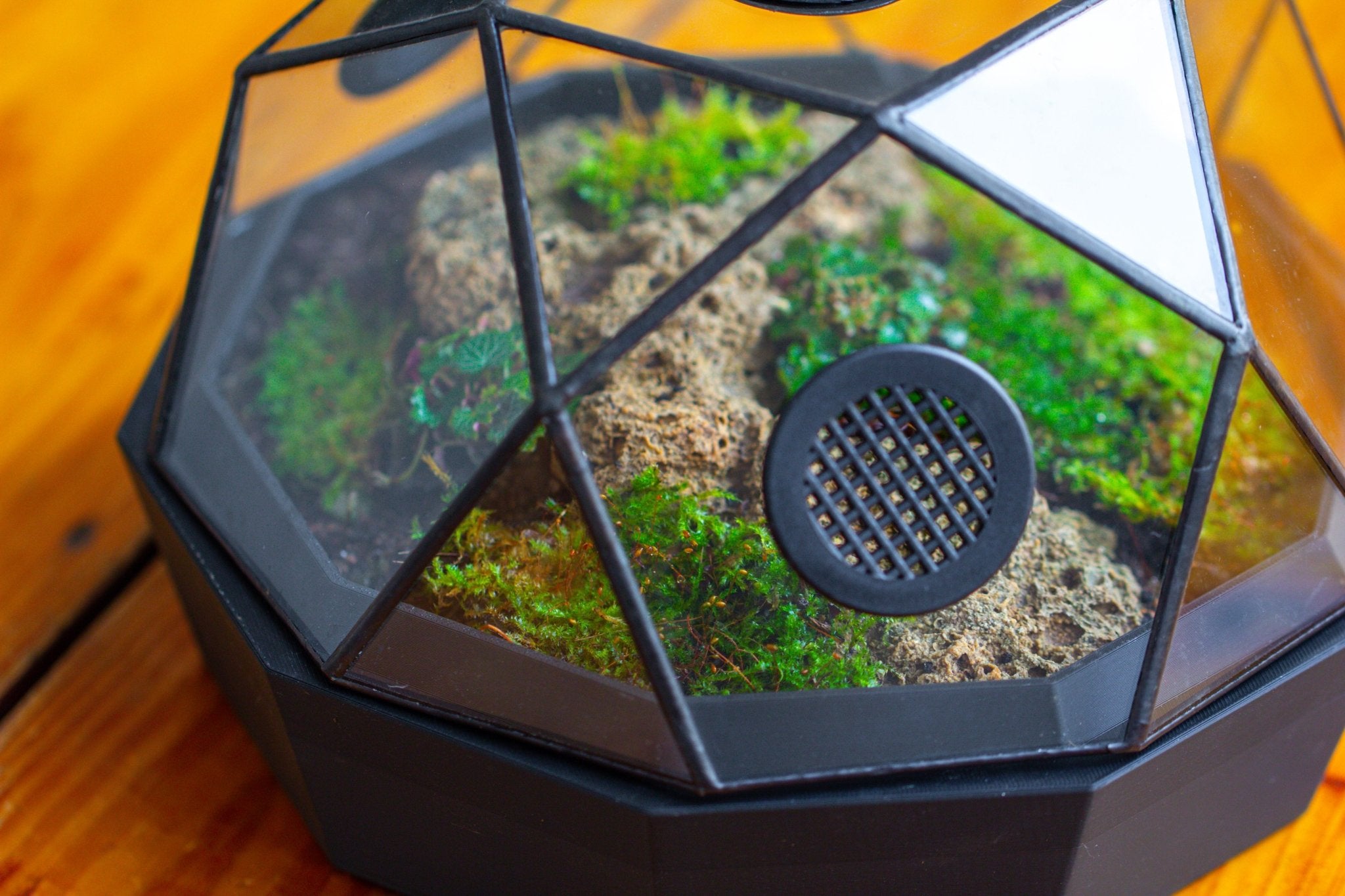 Dome Geometric Glass Terrarium, Vented, Two - part, for Moss Beginners PG08S2 - NCYPgarden