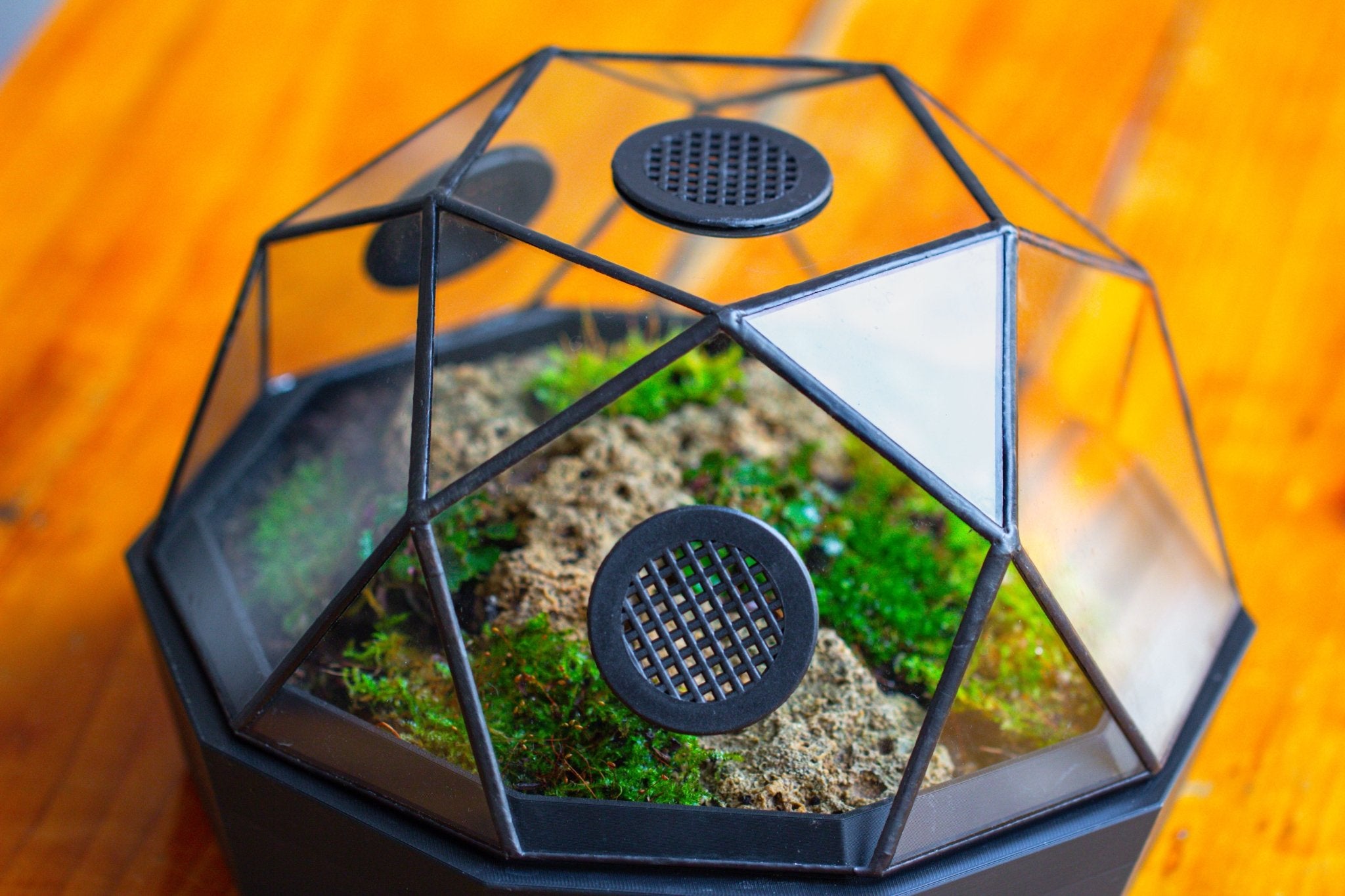 Dome Geometric Glass Terrarium, Vented, Two - part, for Moss Beginners PG08S2 - NCYPgarden