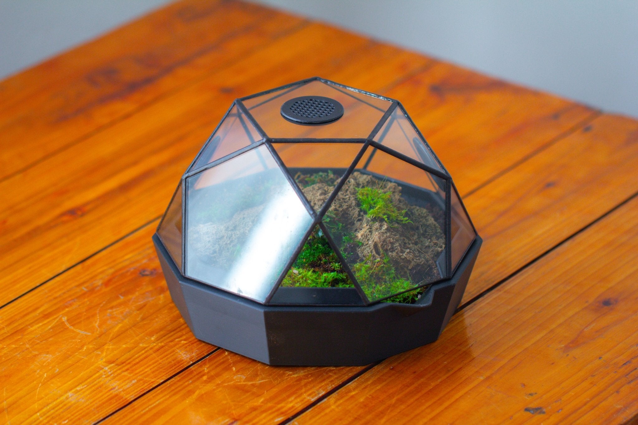 Dome Geometric Glass Terrarium, Vented, Two - part, for Moss Beginners PG08S2 - NCYPgarden