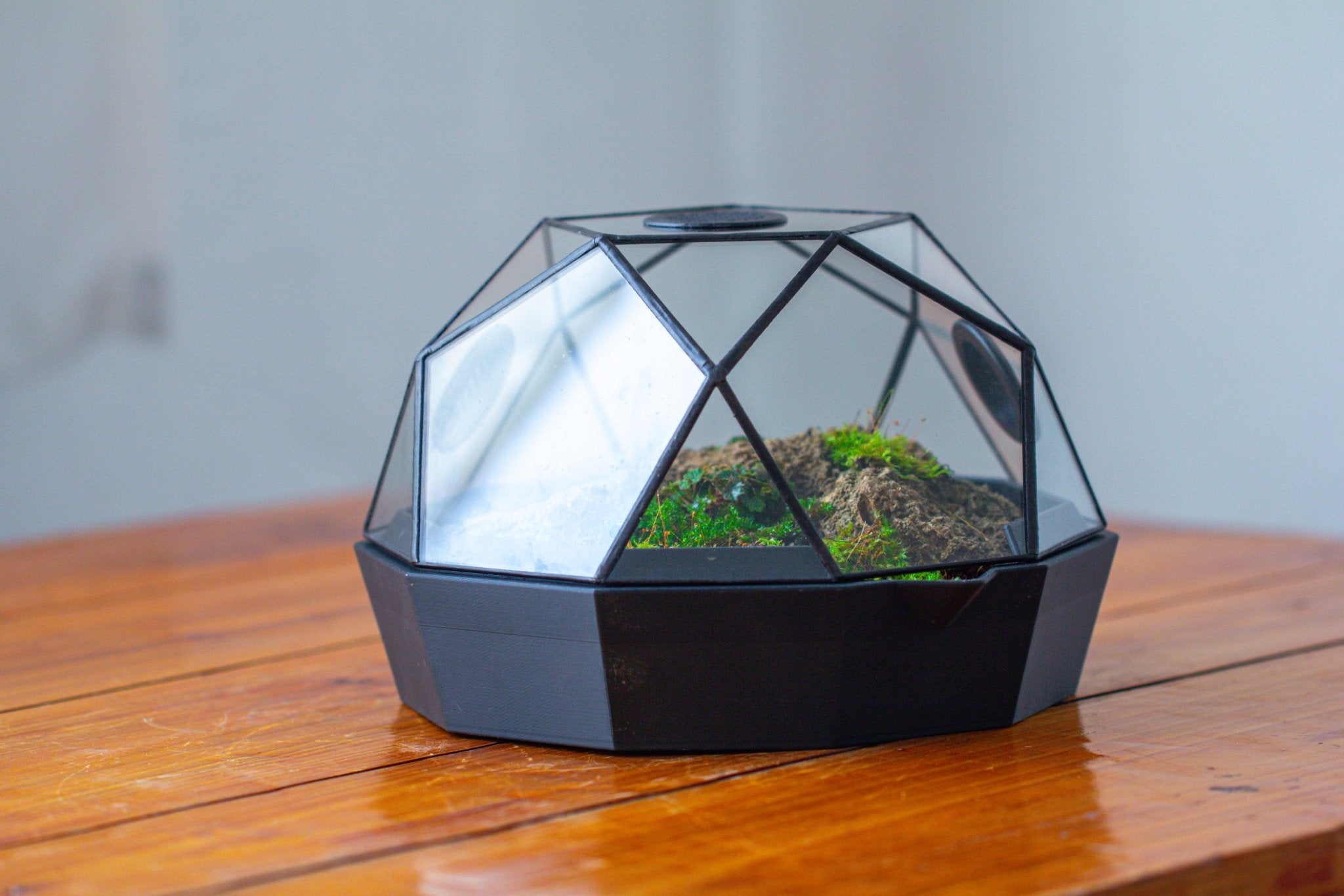 Dome Geometric Glass Terrarium, Vented, Two - part, for Moss Beginners PG08S2 - NCYPgarden