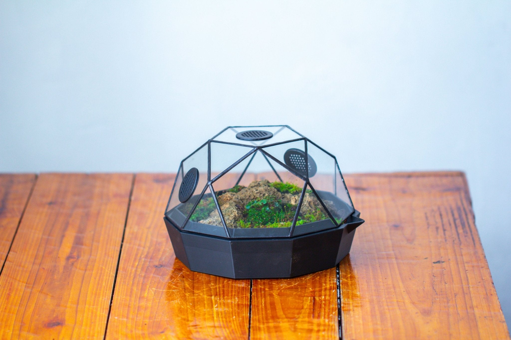 Dome Geometric Glass Terrarium, Vented, Two - part, for Moss Beginners PG08S2 - NCYPgarden