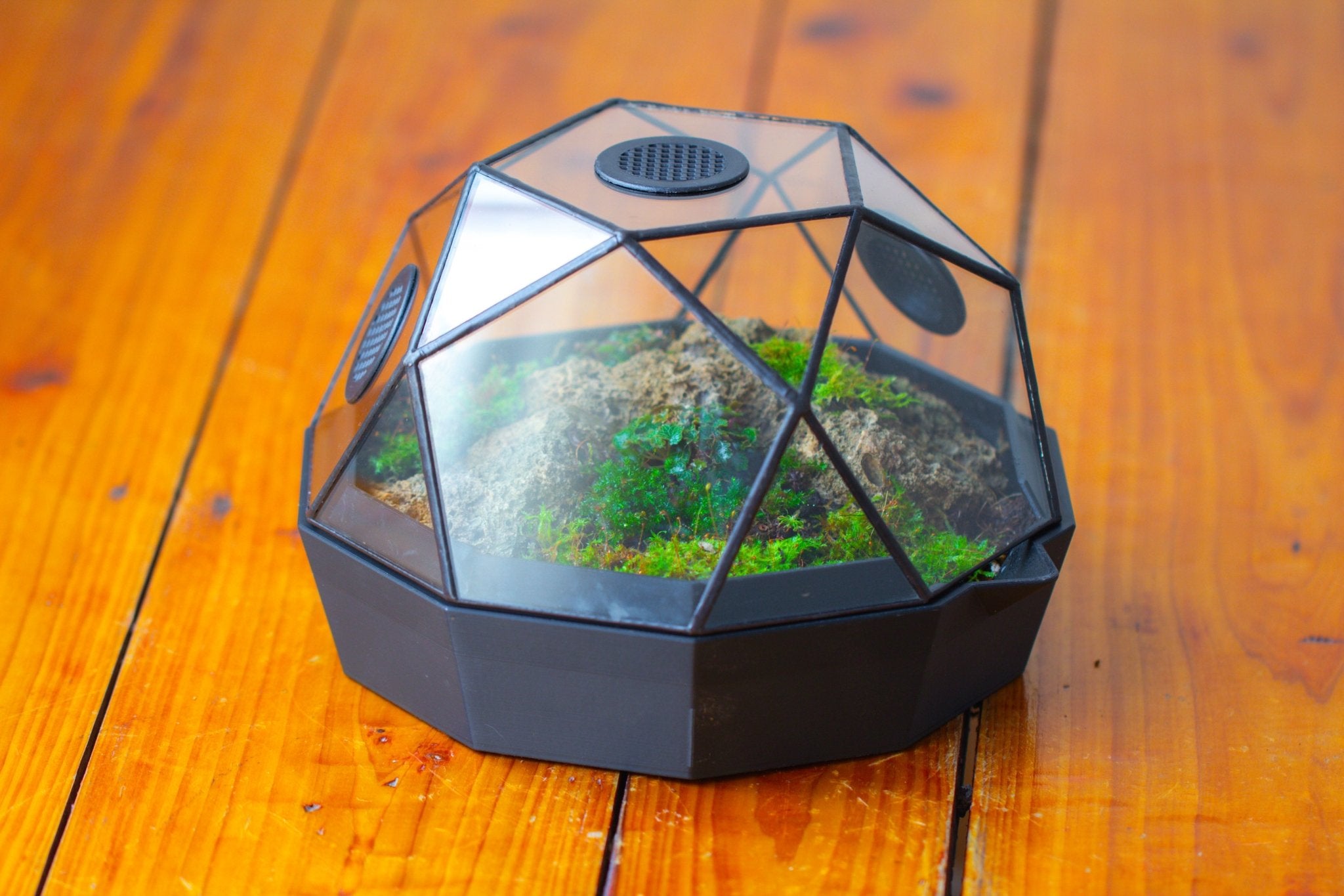 Dome Geometric Glass Terrarium, Vented, Two - part, for Moss Beginners PG08S2 - NCYPgarden
