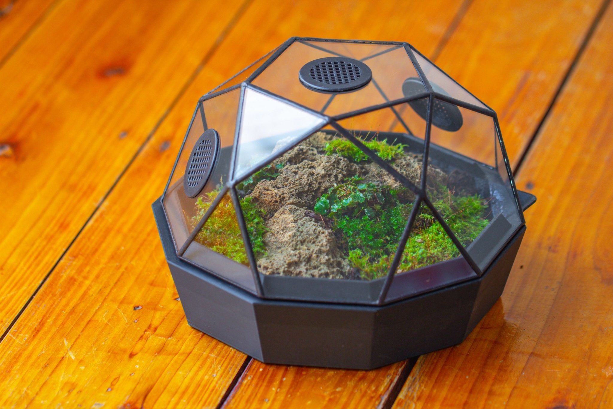 Dome Geometric Glass Terrarium, Vented, Two - part, for Moss Beginners PG08S2 - NCYPgarden
