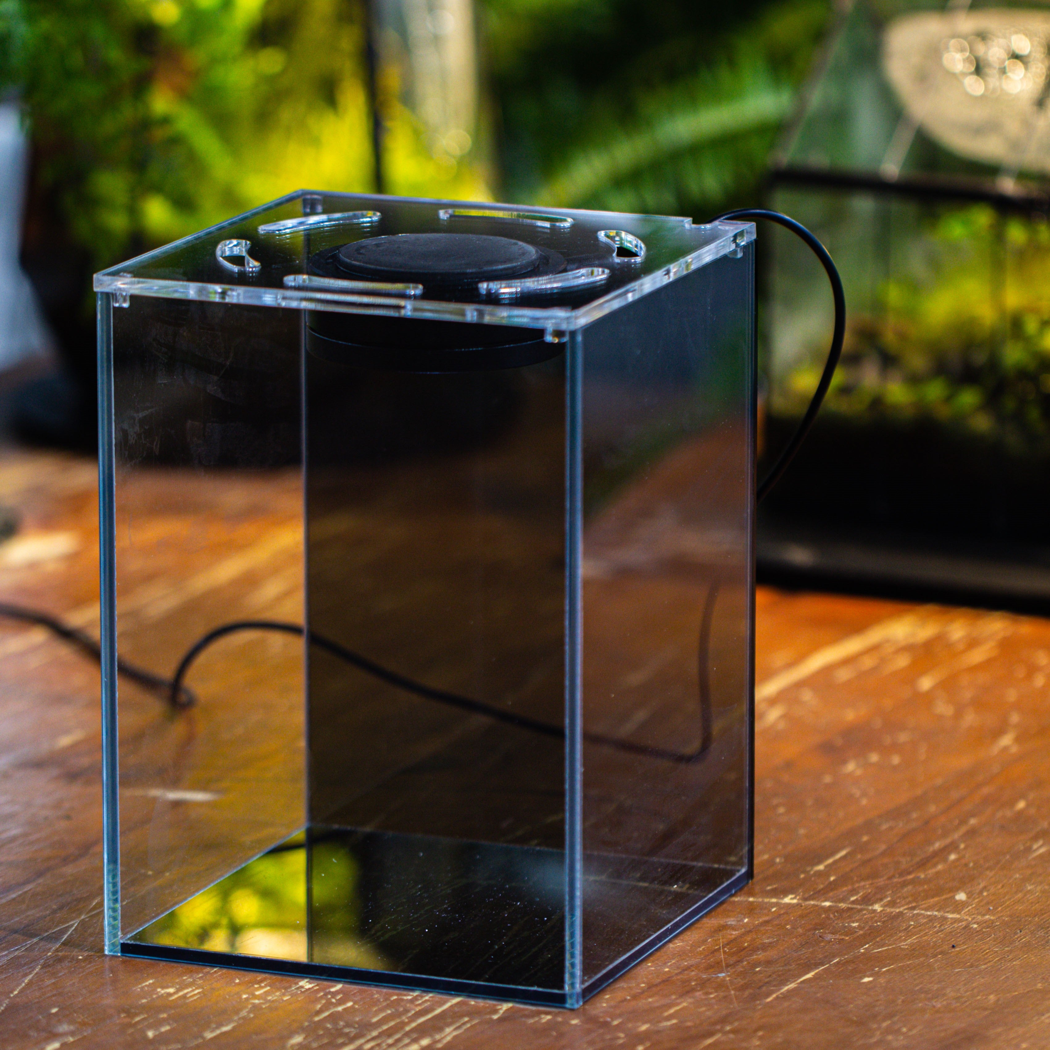 Watertight Glass Terrarium with LED Grow Light, Acrylic Lid for Moss Wall, vertical planting -15x15x20cm / 5.9x5.9x7.8 - NCYPgarden