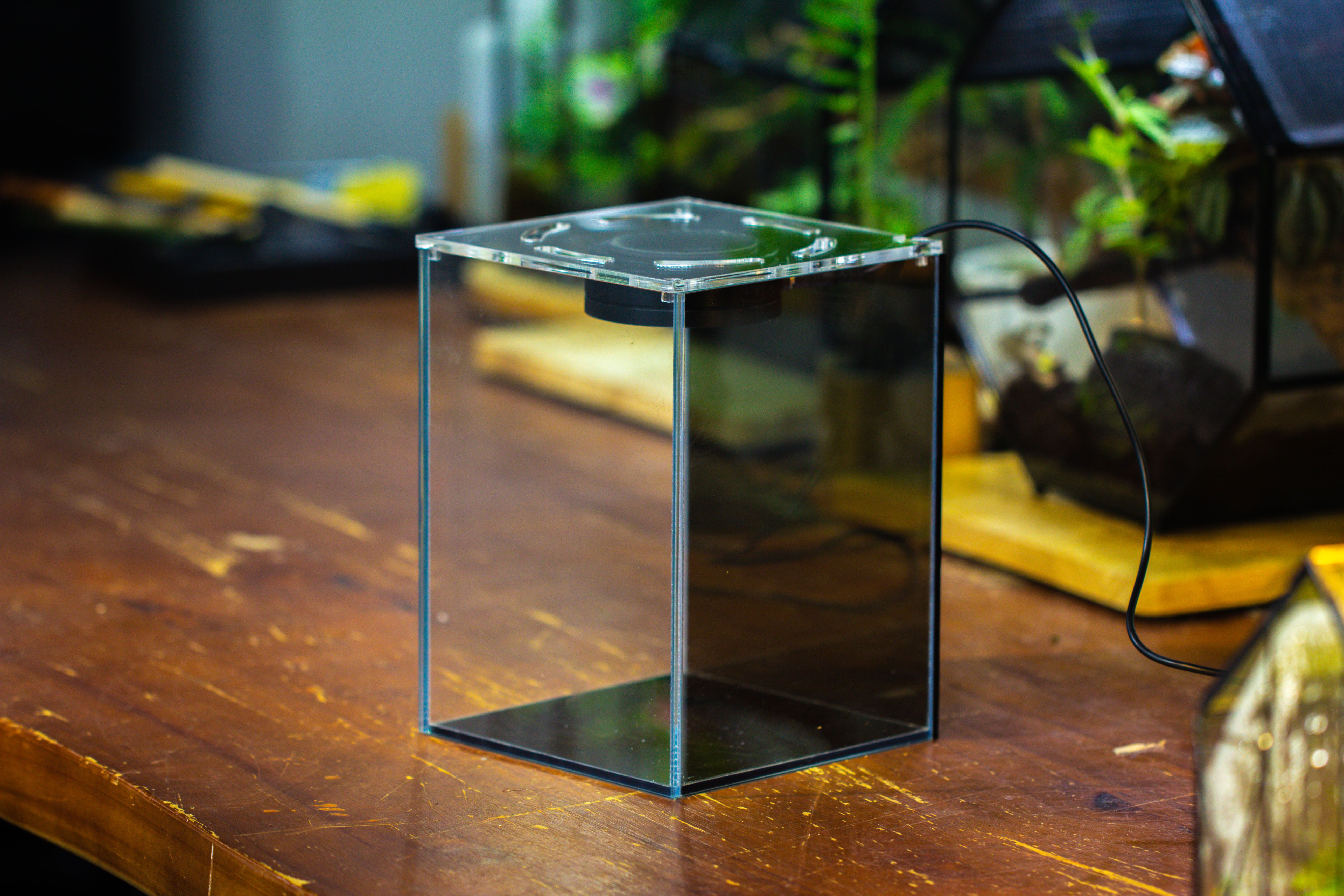 Watertight Glass Terrarium with LED Grow Light, Acrylic Lid for Moss Wall, vertical planting -15x15x20cm / 5.9x5.9x7.8 - NCYPgarden