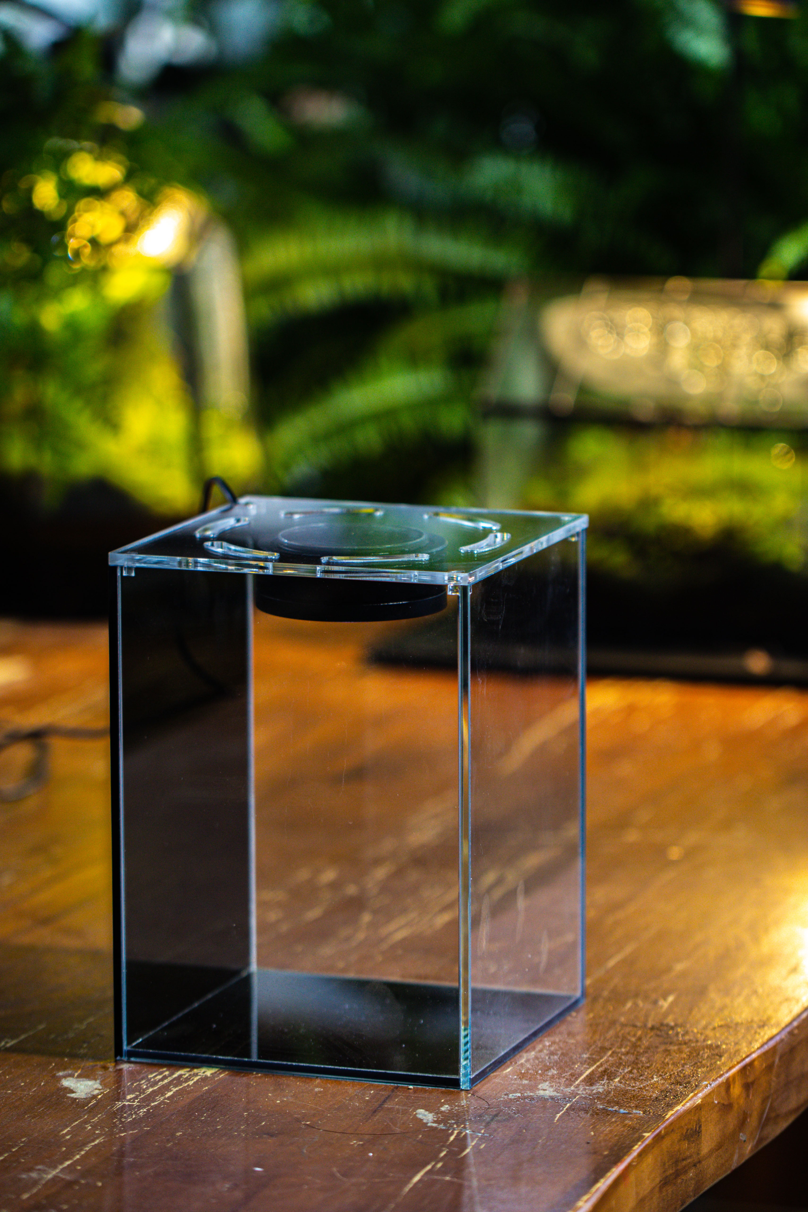 Watertight Glass Terrarium with LED Grow Light, Acrylic Lid for Moss Wall, vertical planting -15x15x20cm / 5.9x5.9x7.8 - NCYPgarden