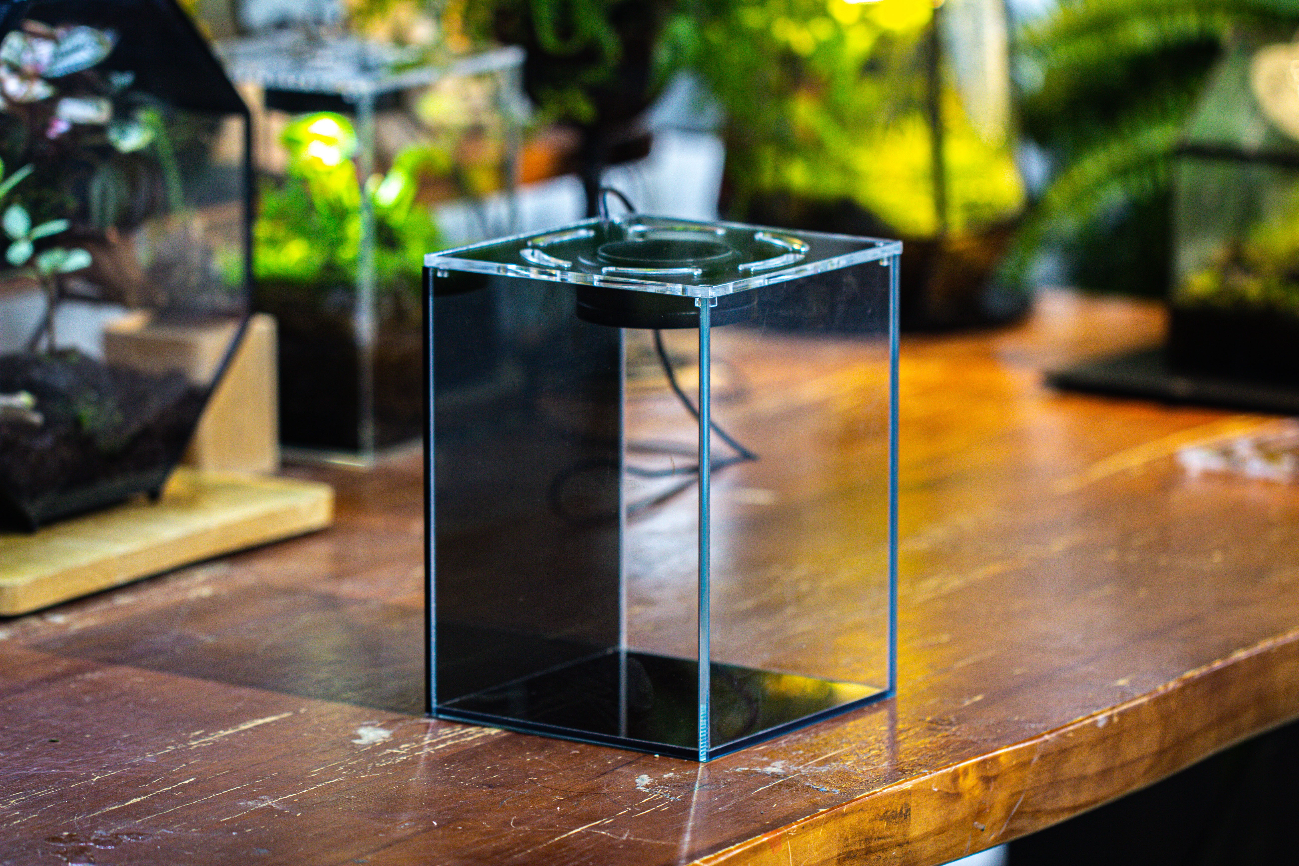 Watertight Glass Terrarium with LED Grow Light, Acrylic Lid for Moss Wall, vertical planting -15x15x20cm / 5.9x5.9x7.8 - NCYPgarden