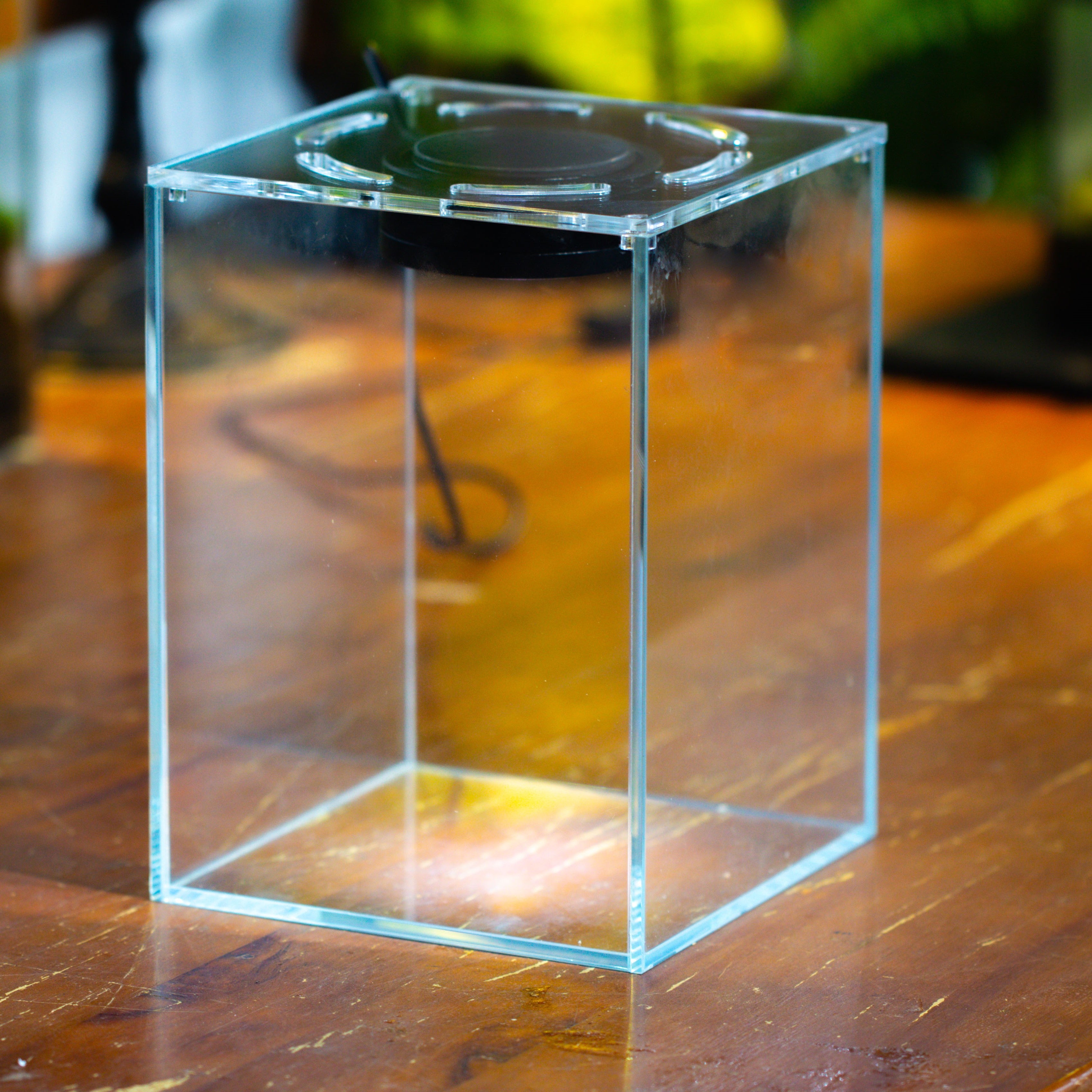 Watertight Glass Tank with LED Grow Light, Acrylic Lid, DIY Terrarium Kit- 25x25x30cm / 9.8x9.8x11.8'' - NCYPgarden