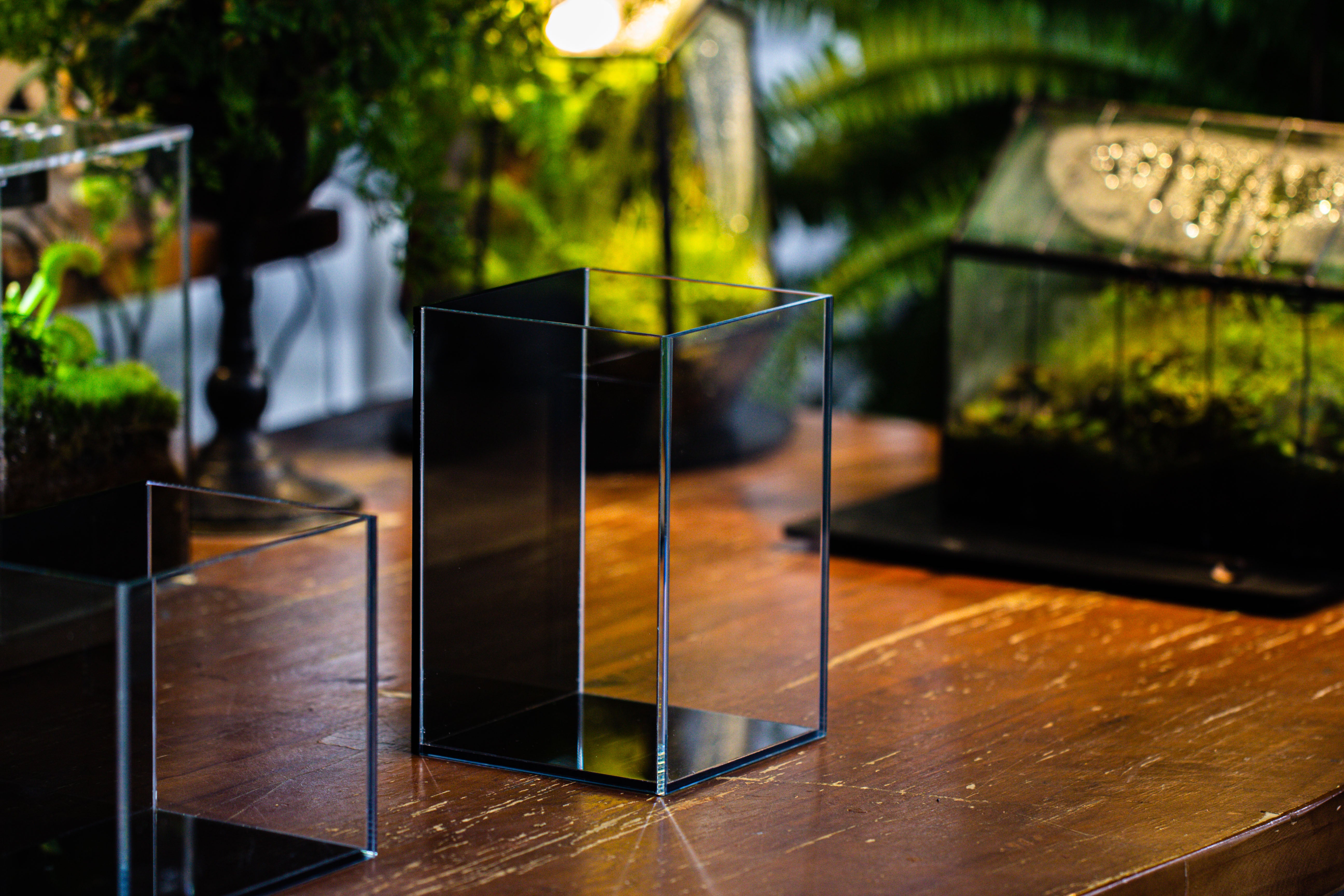 Watertight Glass Terrarium with LED Grow Light, Acrylic Lid for Moss Wall, vertical planting -15x15x20cm / 5.9x5.9x7.8 - NCYPgarden