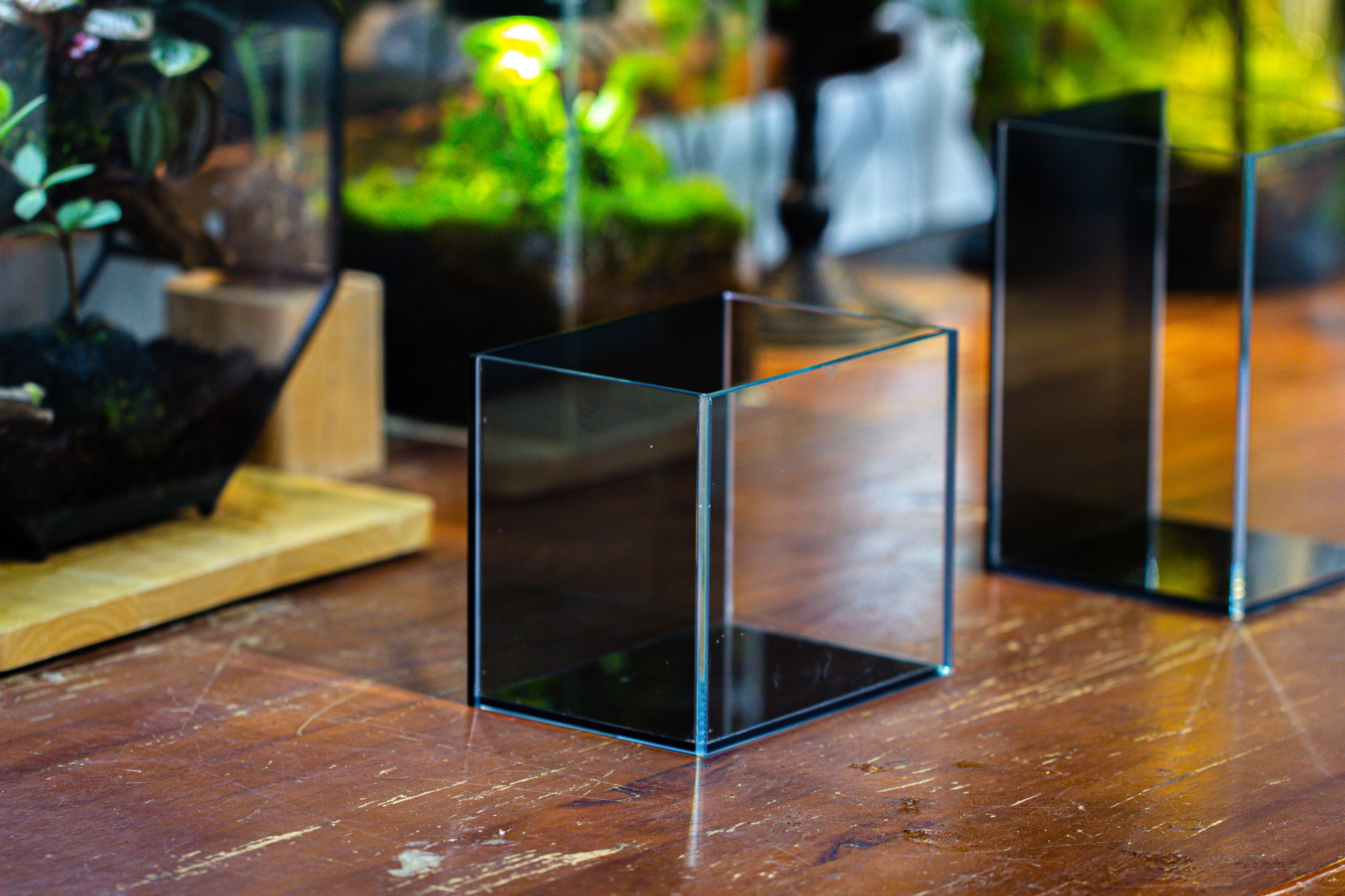 Watertight Glass Terrarium with LED Grow Light, Acrylic Lid for Moss Wall, vertical planting-15x11x13cm / 5.9x4.3x5.1'' - NCYPgarden