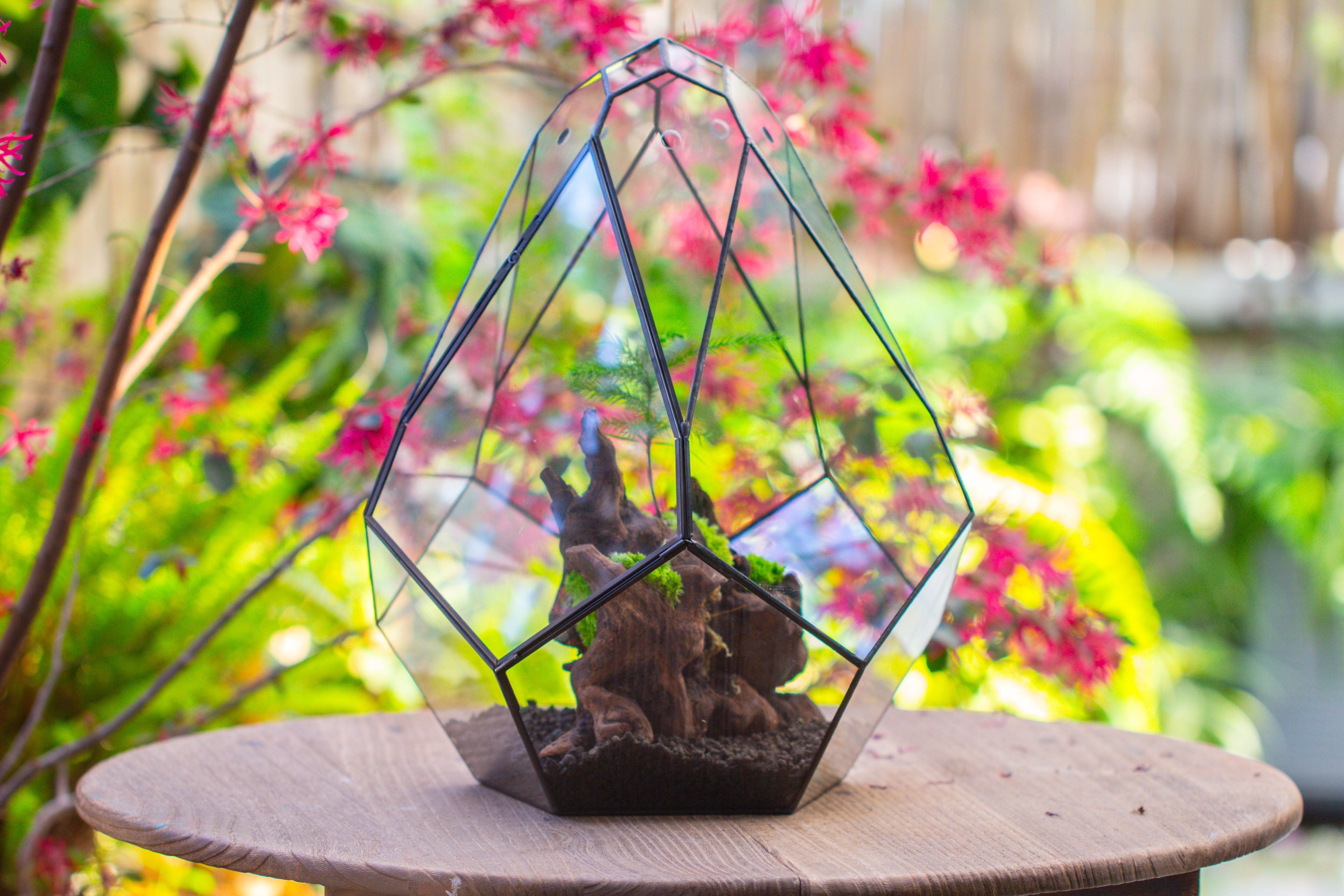 16" Large Teardrop Geometric Terrarium, close - NCYPgarden