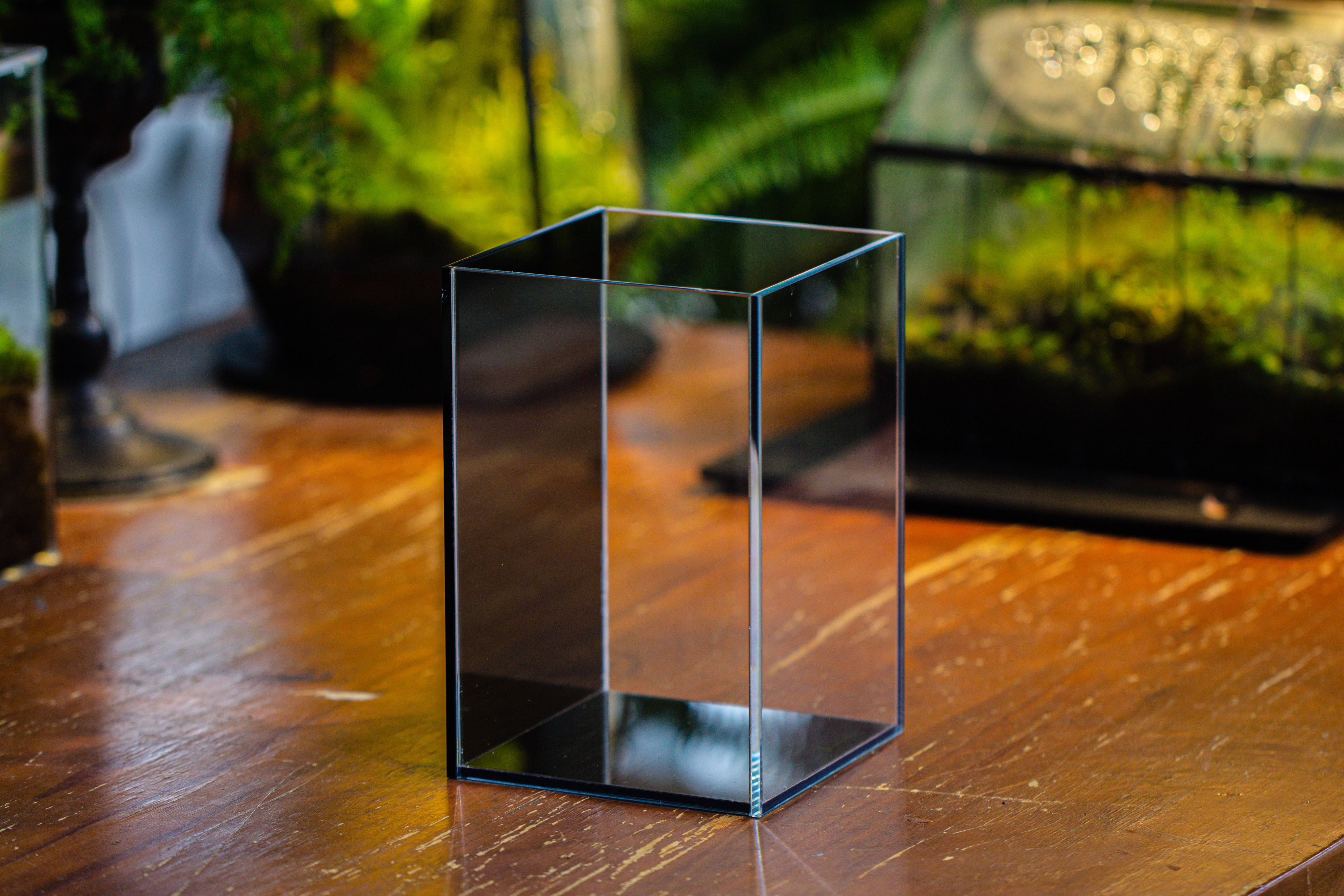 Watertight Glass Terrarium with LED Grow Light, Acrylic Lid for Moss Wall, vertical planting -15x15x20cm / 5.9x5.9x7.8 - NCYPgarden