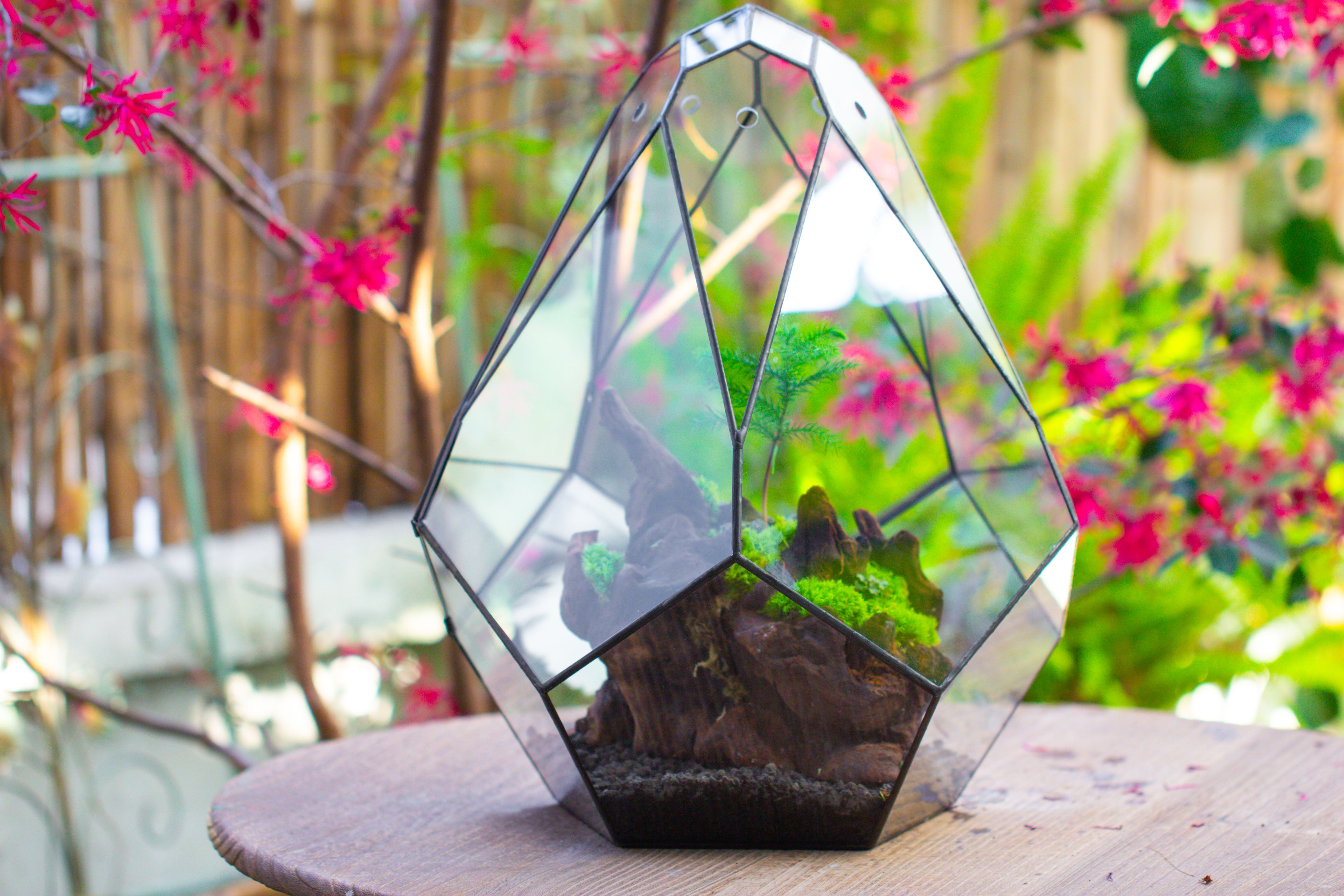 16" Large Teardrop Geometric Terrarium, close - NCYPgarden