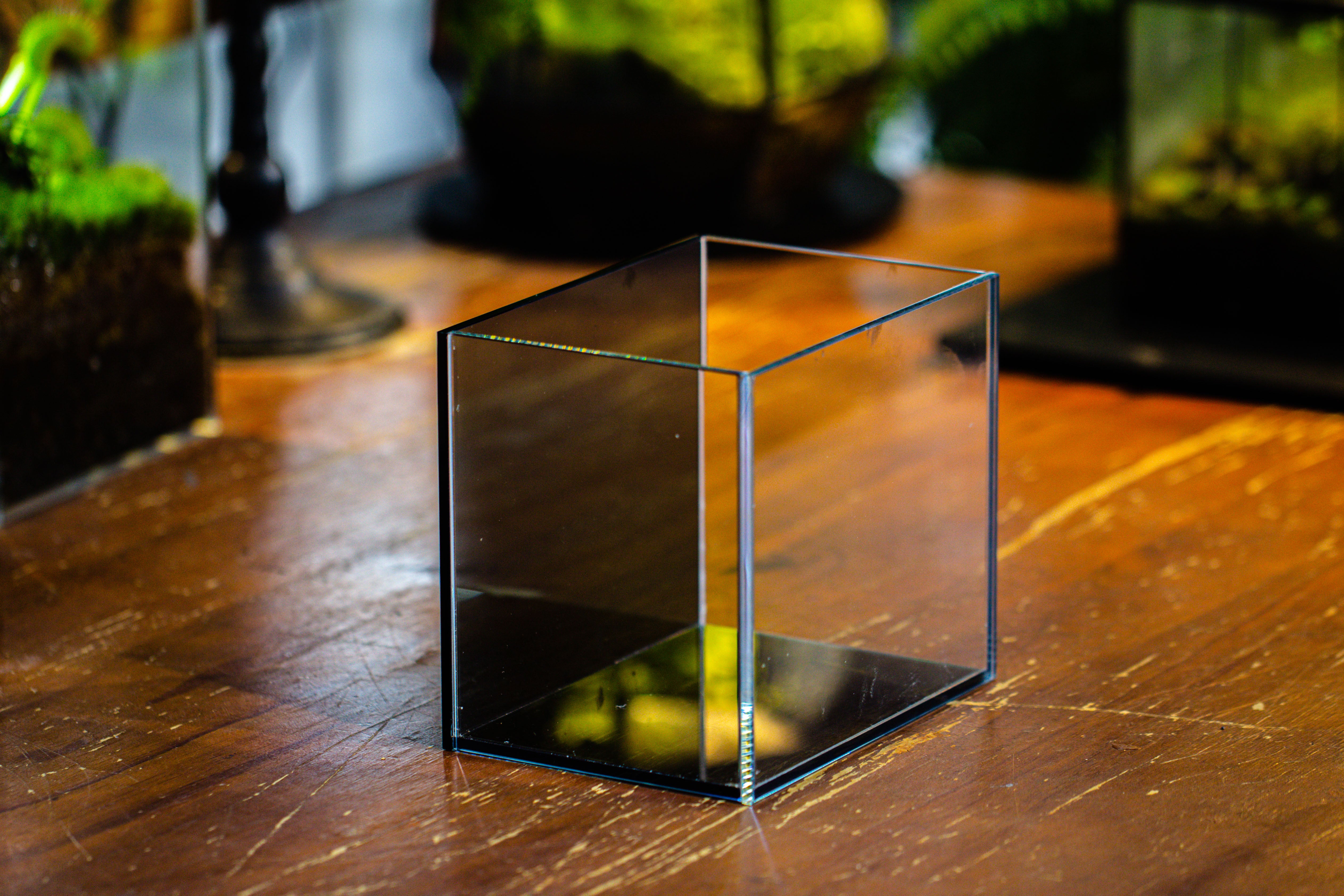 Watertight Glass Terrarium with LED Grow Light, Acrylic Lid for Moss Wall, vertical planting-15x11x13cm / 5.9x4.3x5.1'' - NCYPgarden