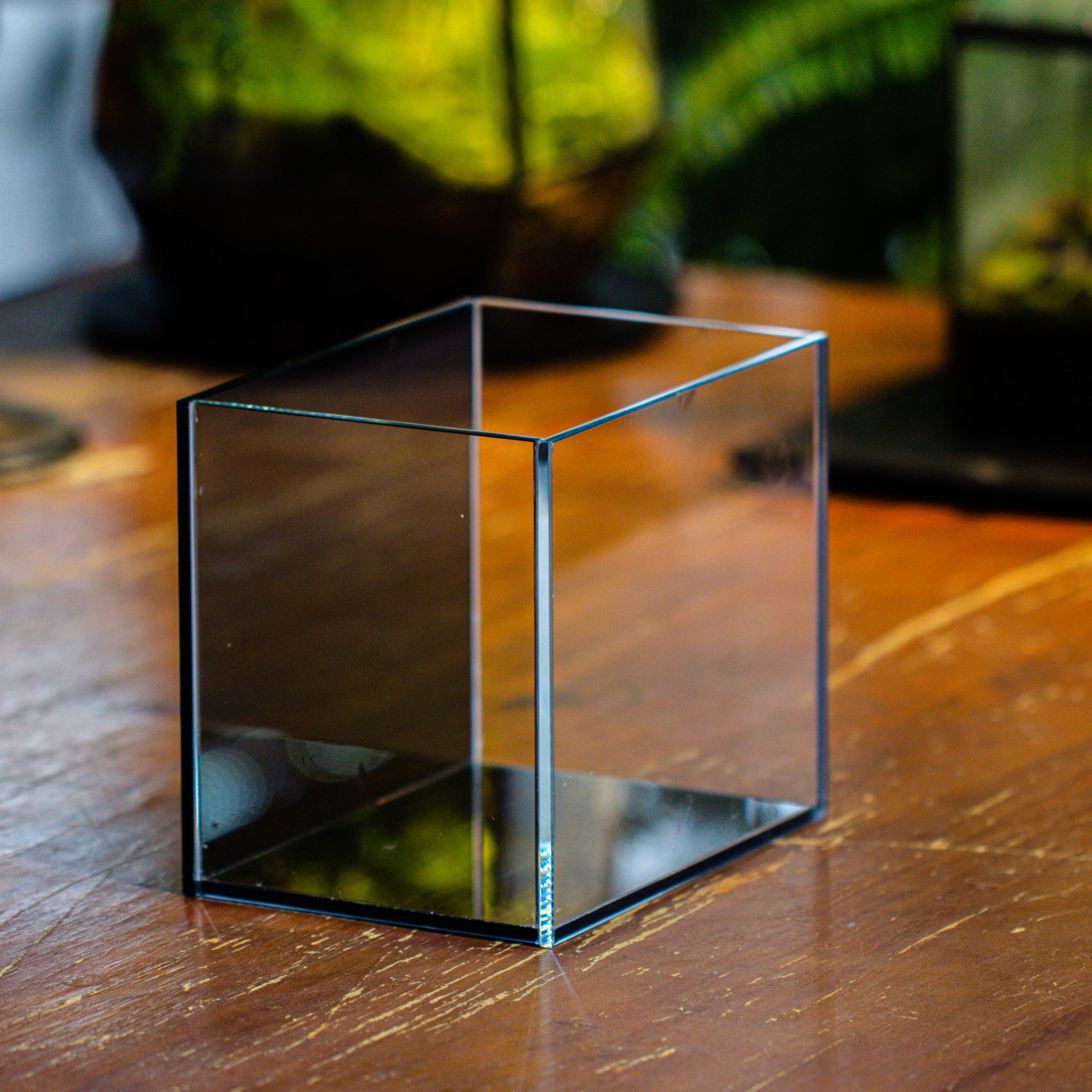 Watertight Glass Terrarium with LED Grow Light, Acrylic Lid for Moss Wall, vertical planting -15x11x13cm / 5.9x4.3x5.1'' - NCYPgarden